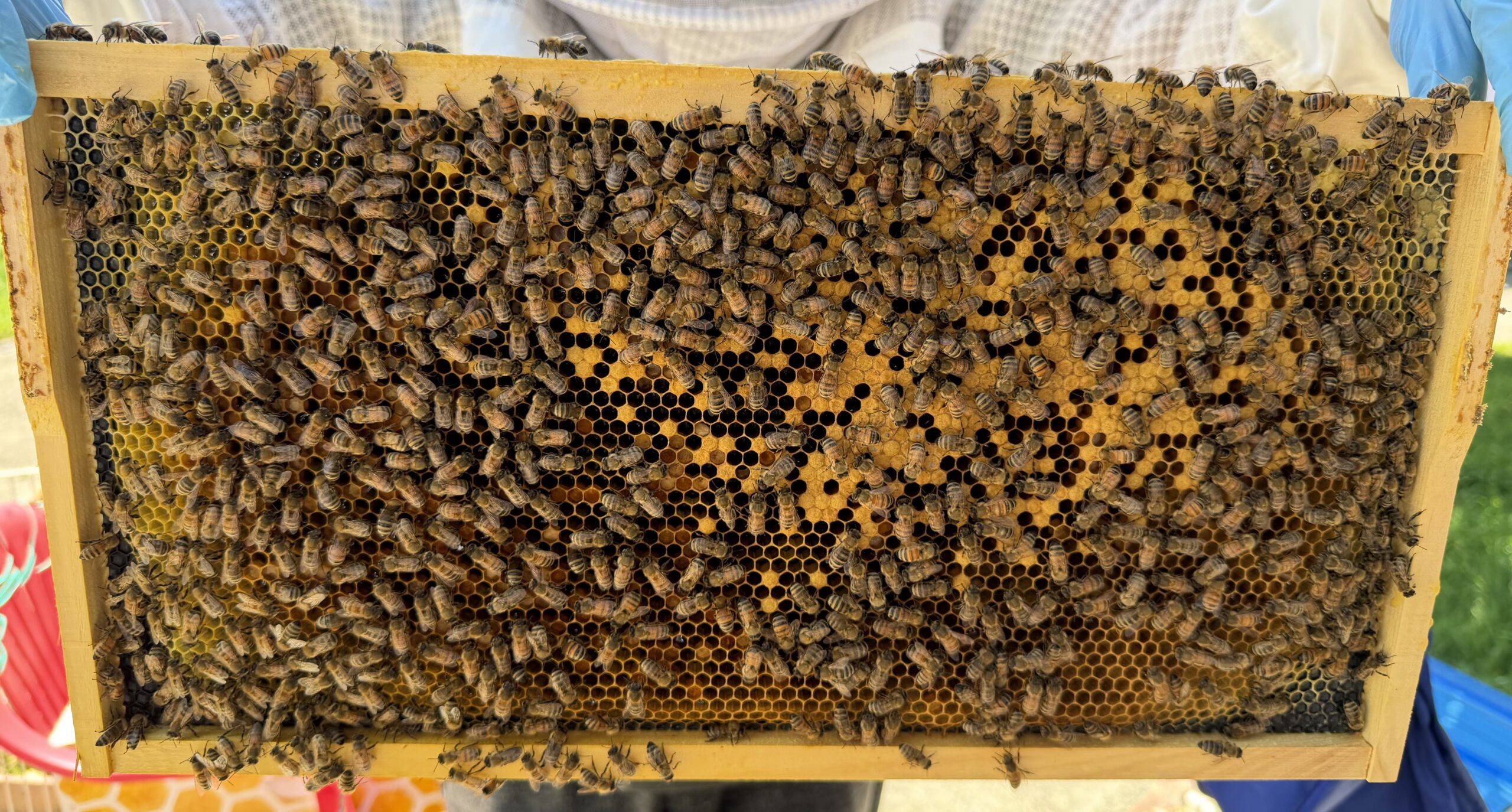 Frame 5 side A