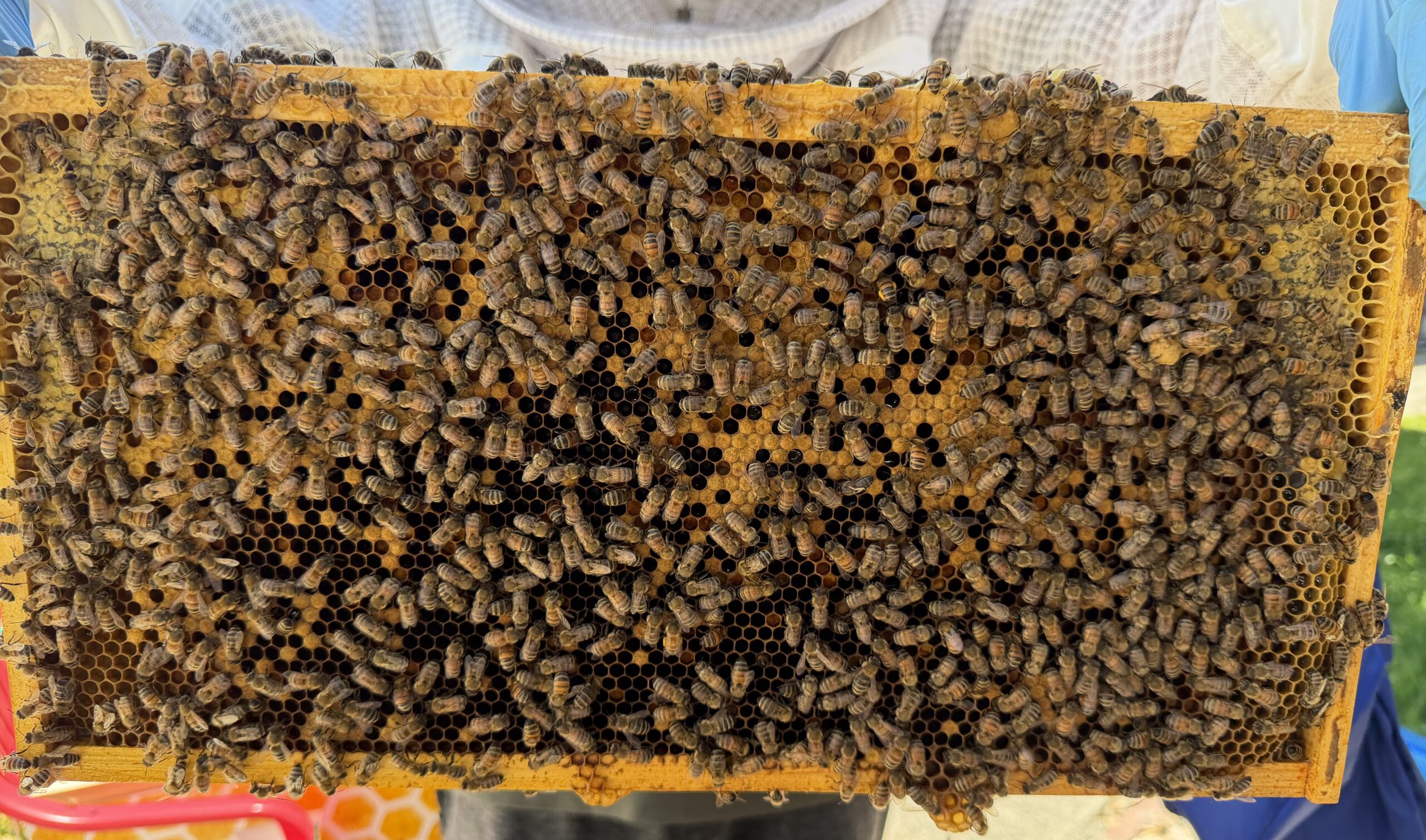 Frame 7 side A