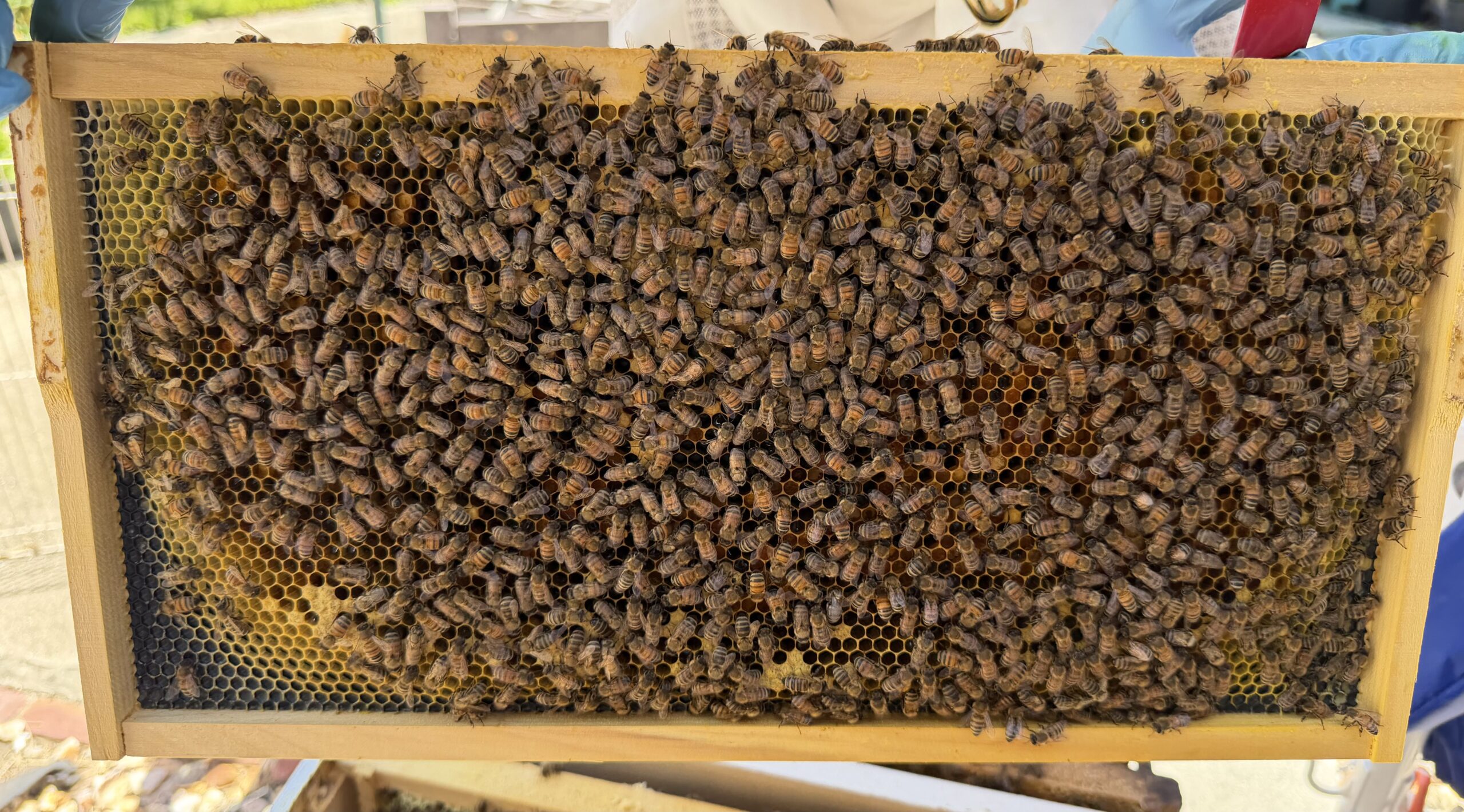Frame 5 side B