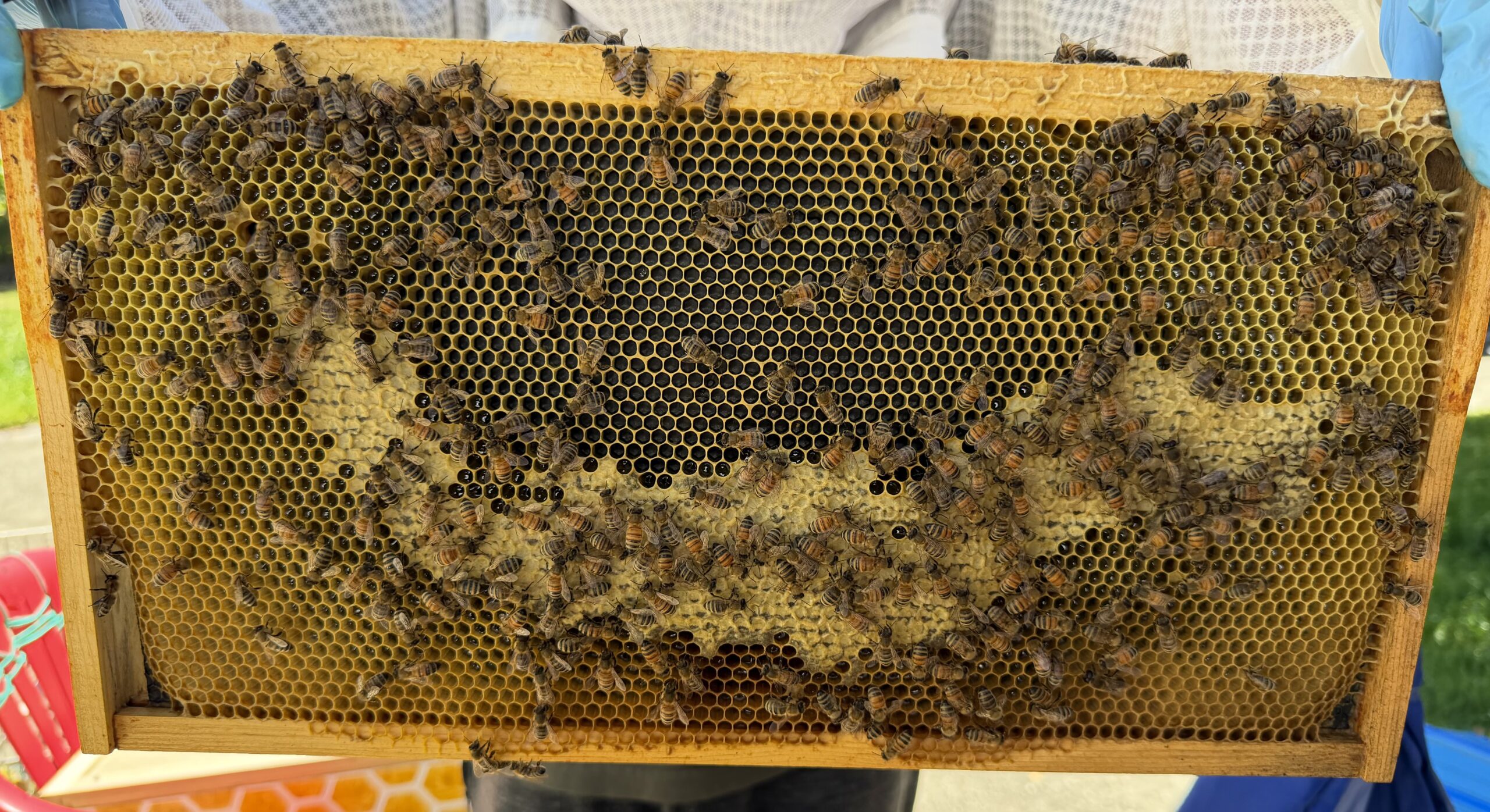Frame 8 side A