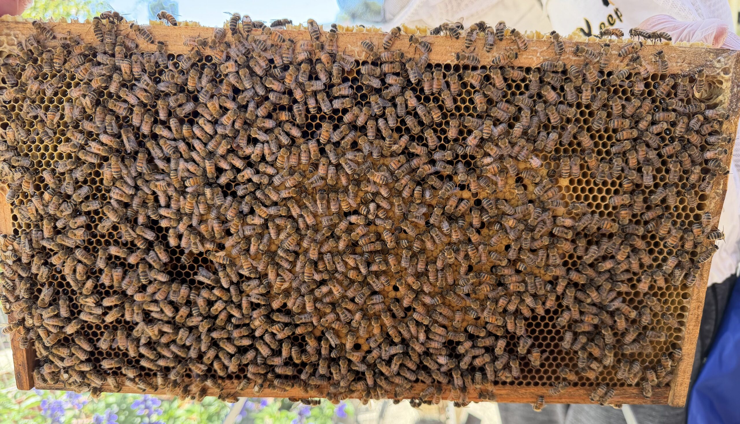 Frame 1 side B