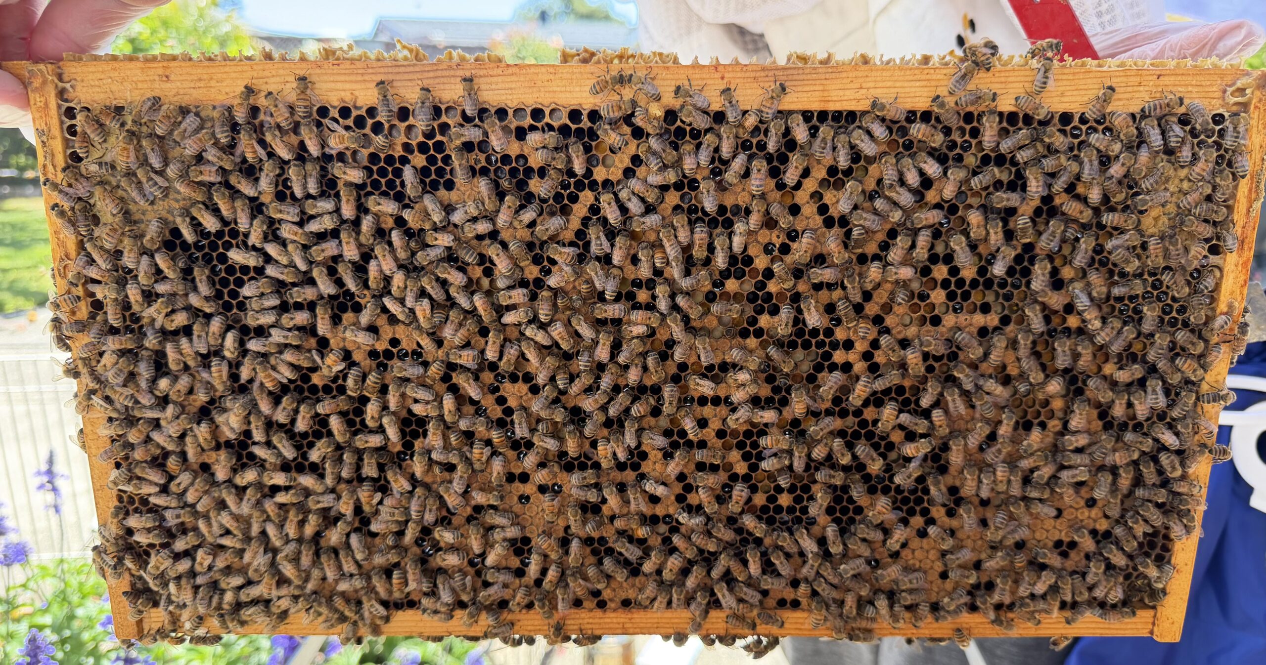 Frame 2 side B