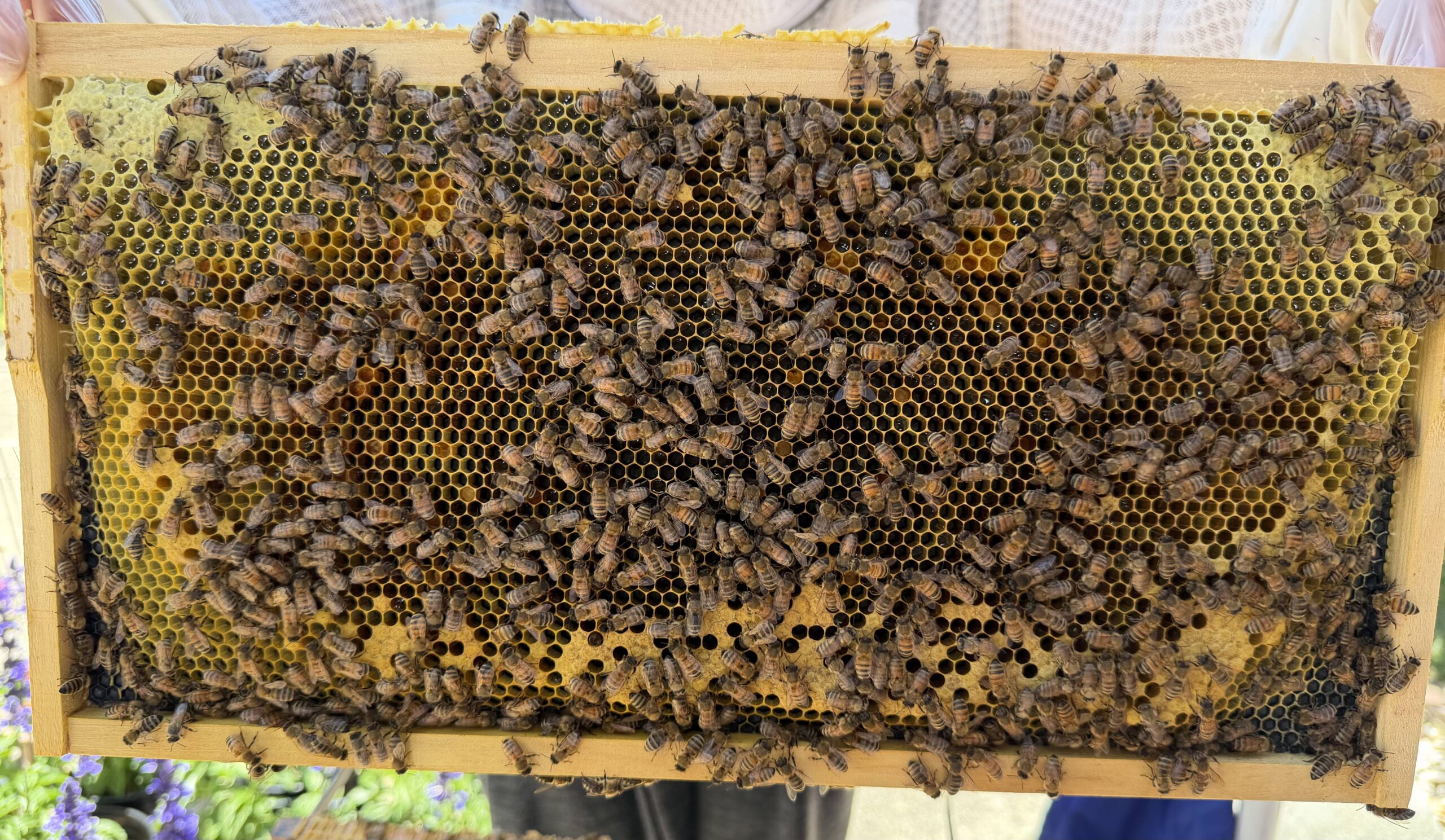 Frame 4 side A