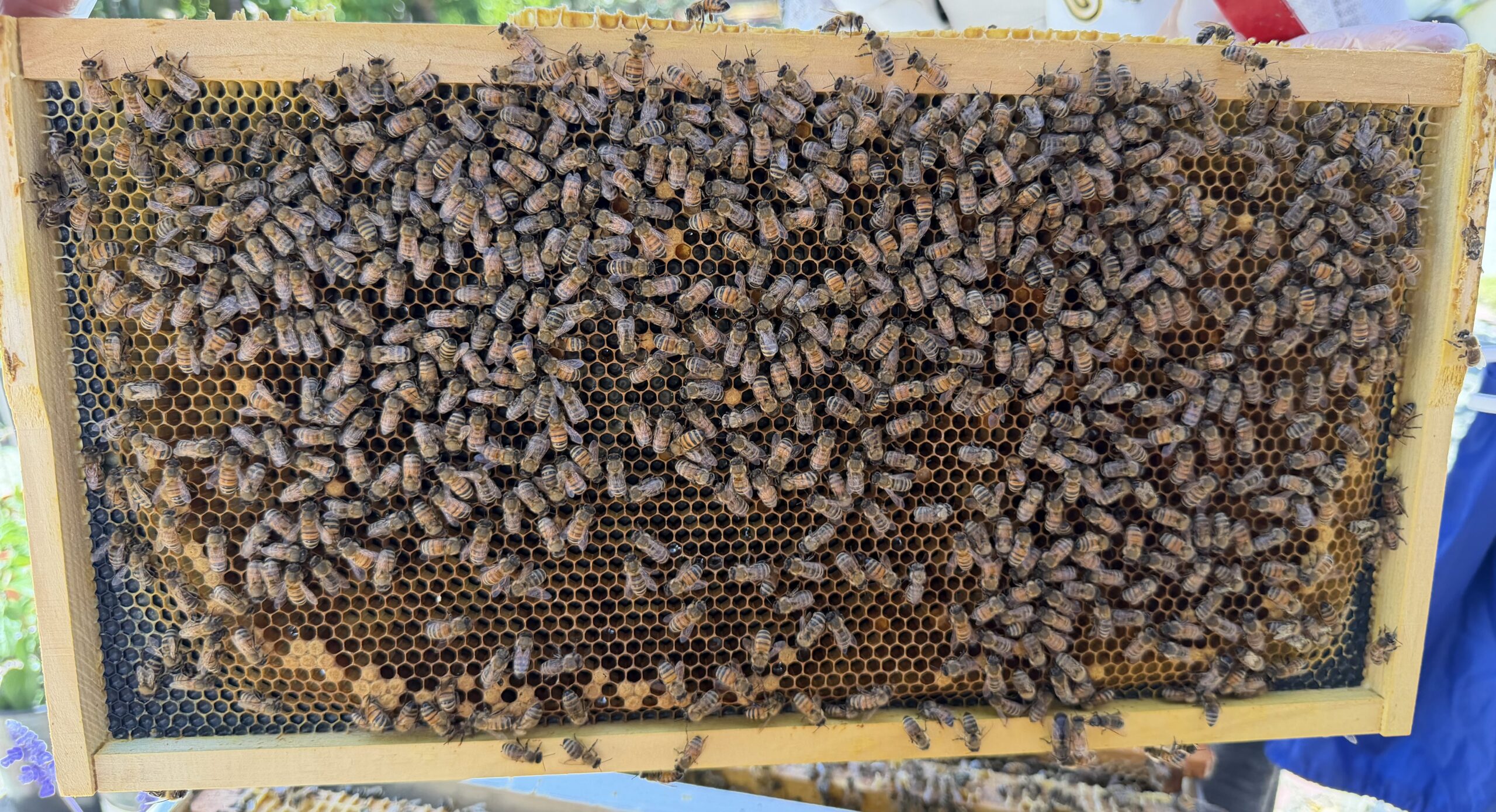 Frame 4 side B