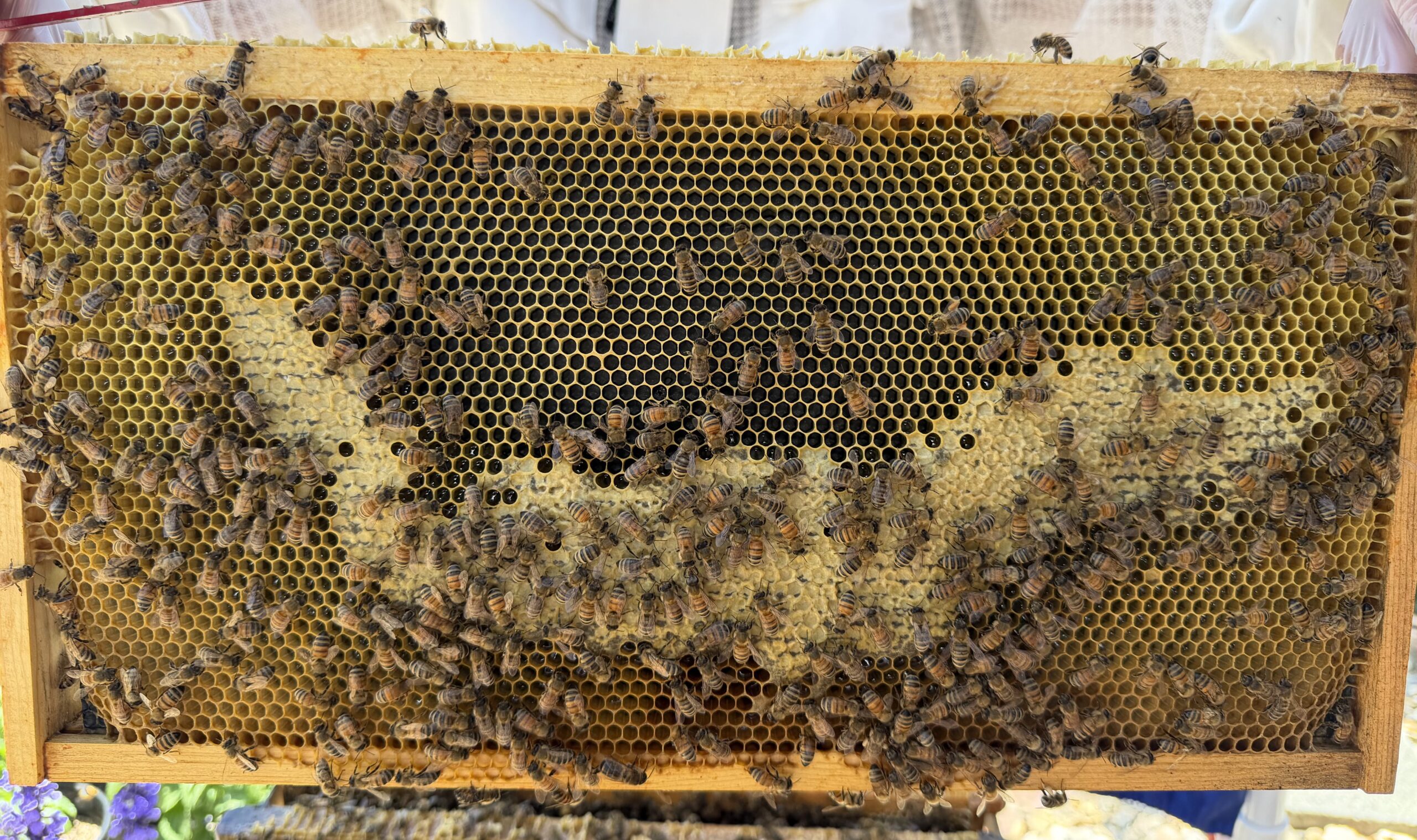 Frame 8 side A