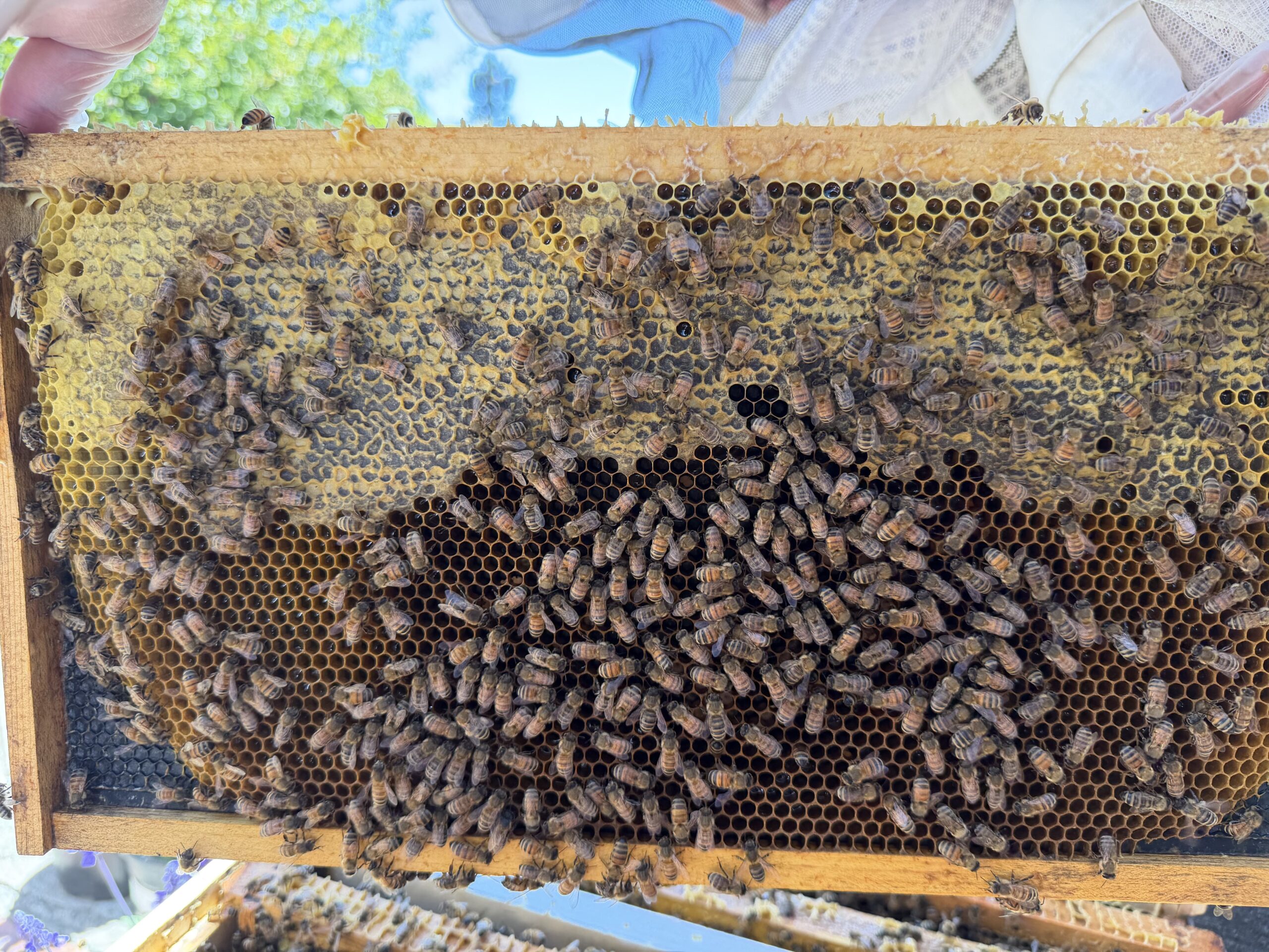 Frame 8 side B