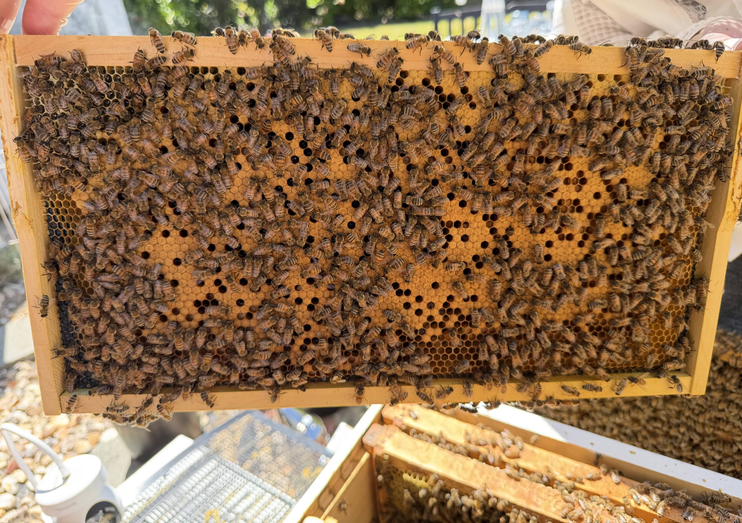 Frame 4 side B