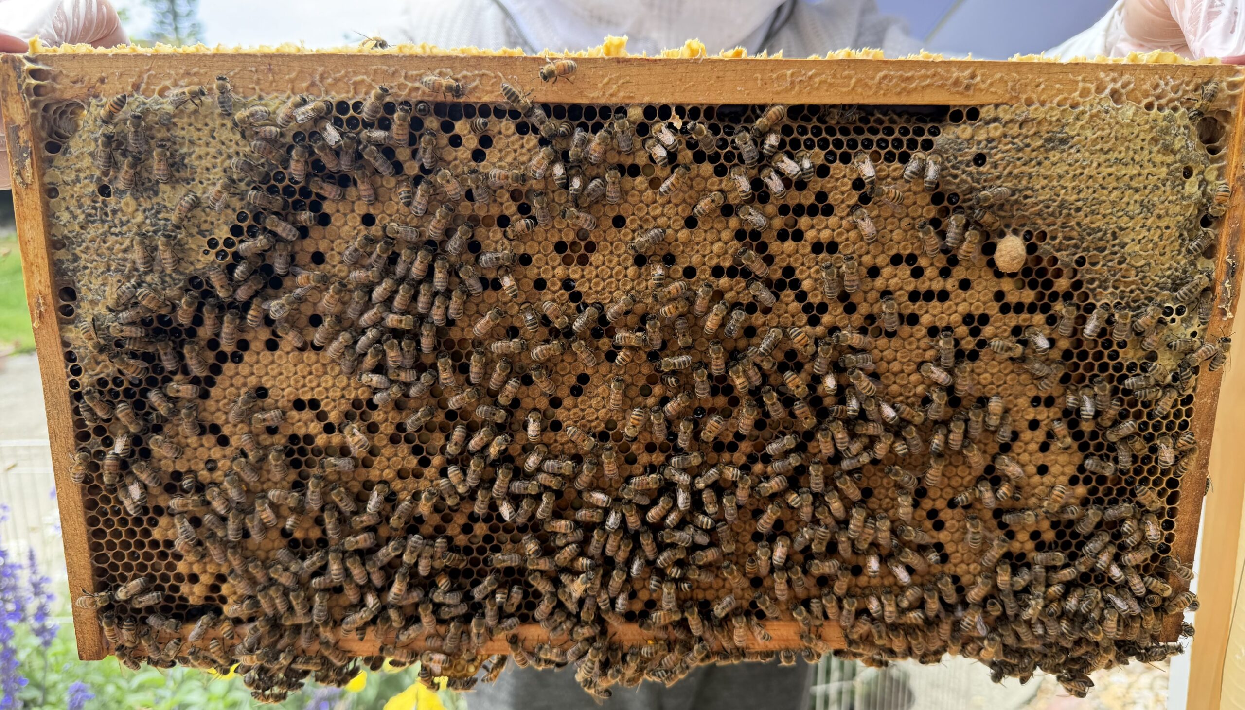 Frame 1 side A