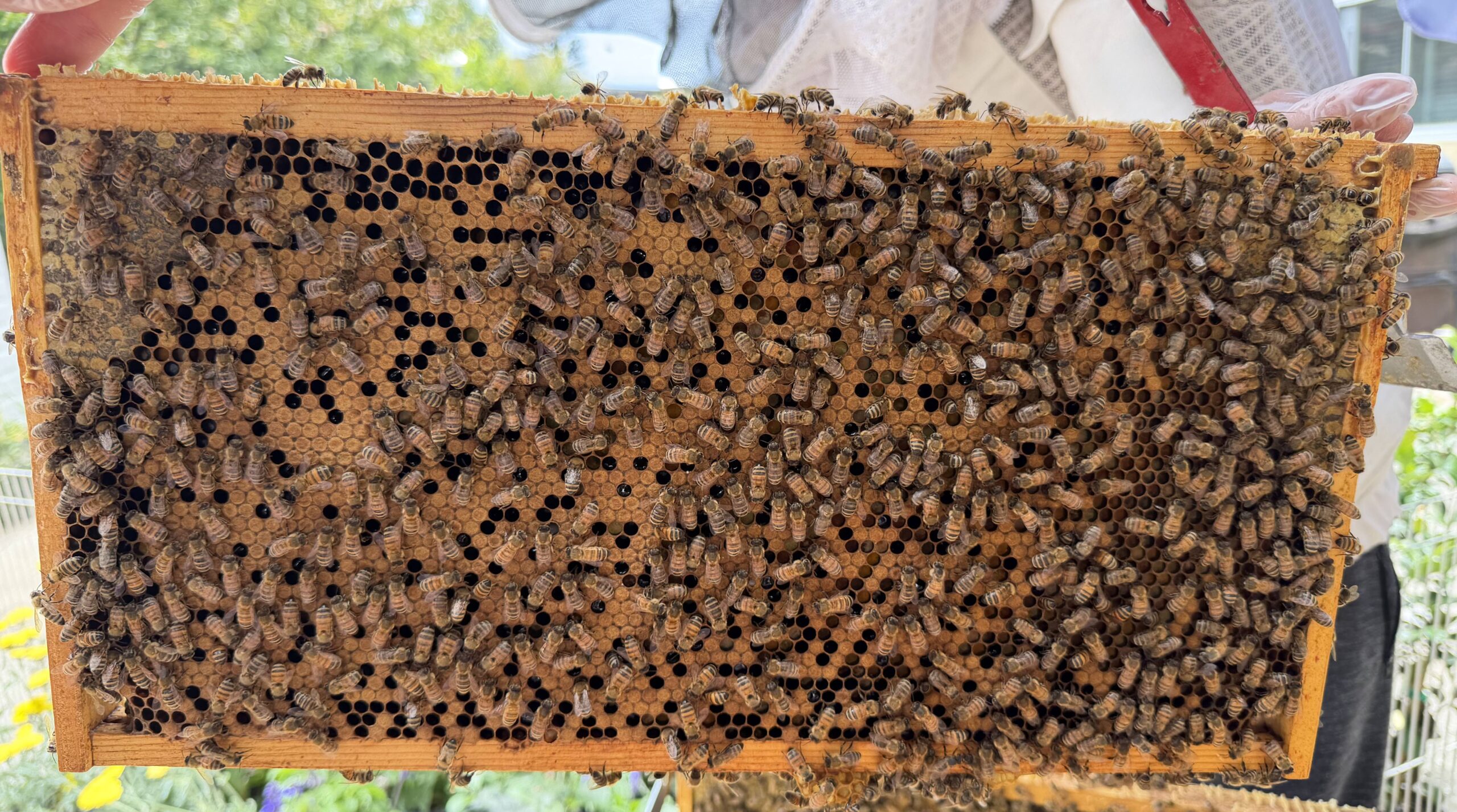Frame 2 side B