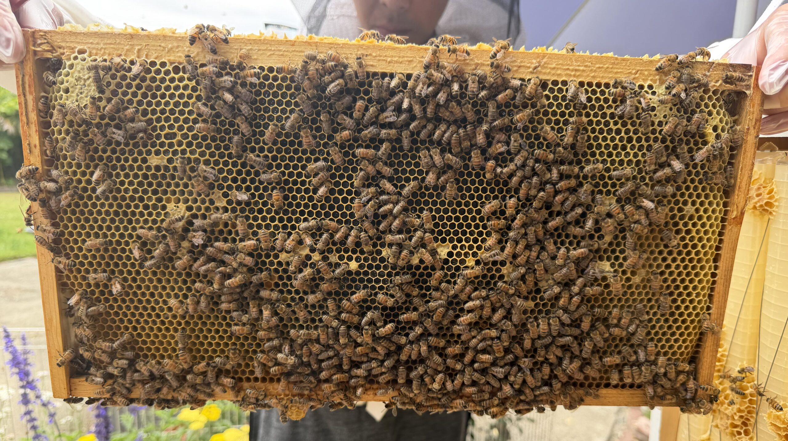 Frame 4 side A