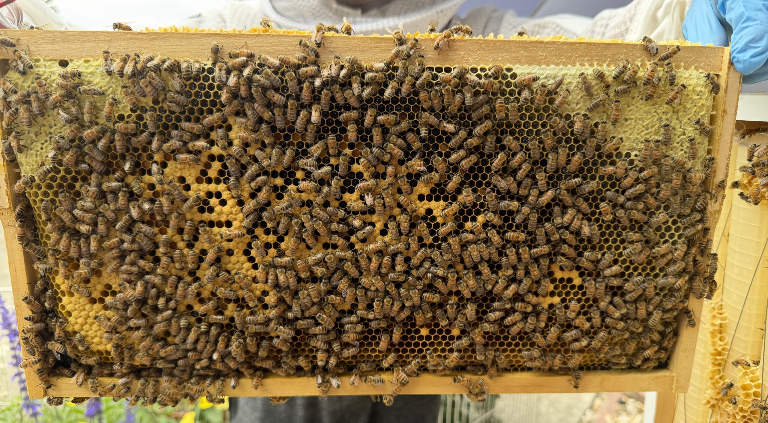 Frame 5 side A