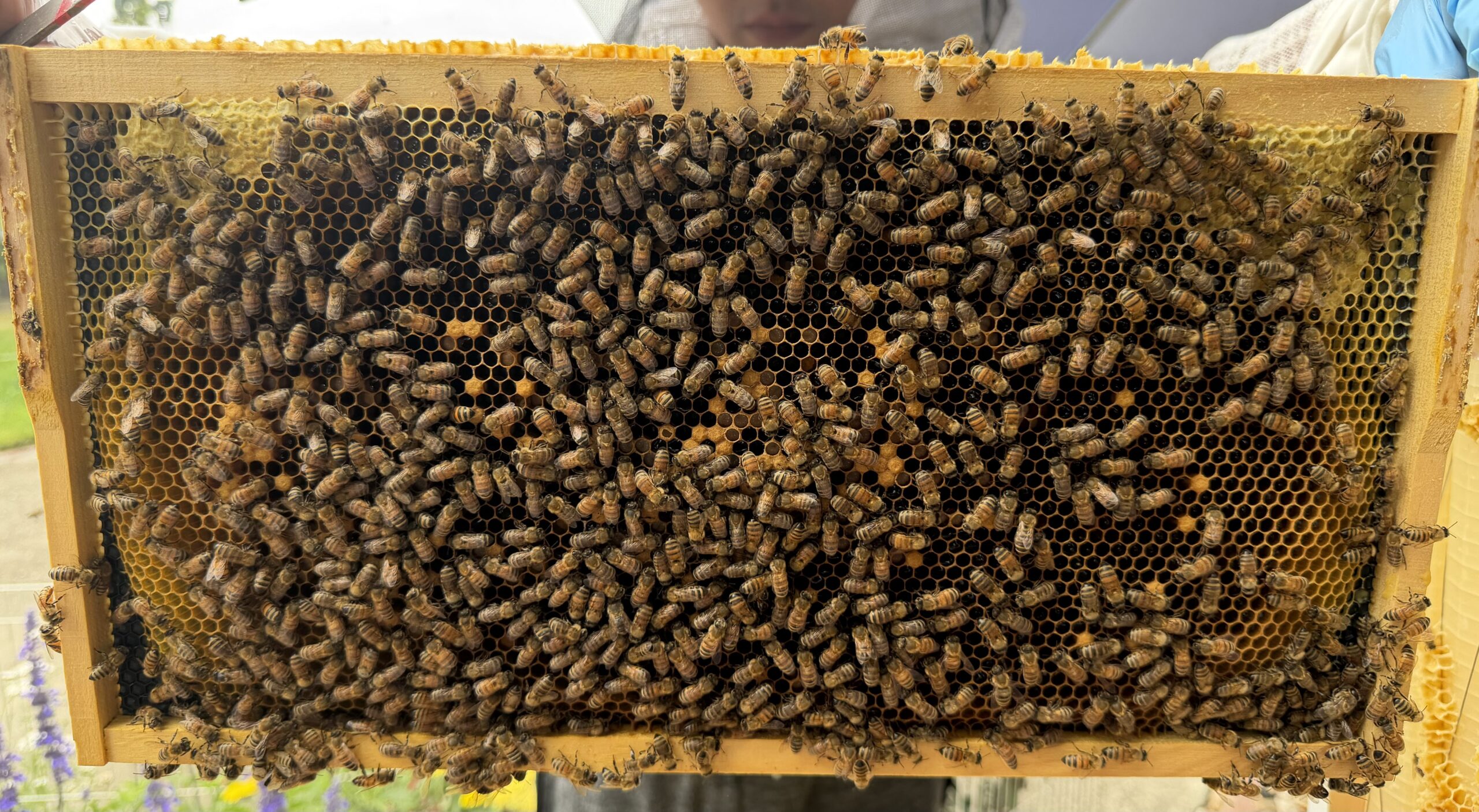 Frame 6 side A