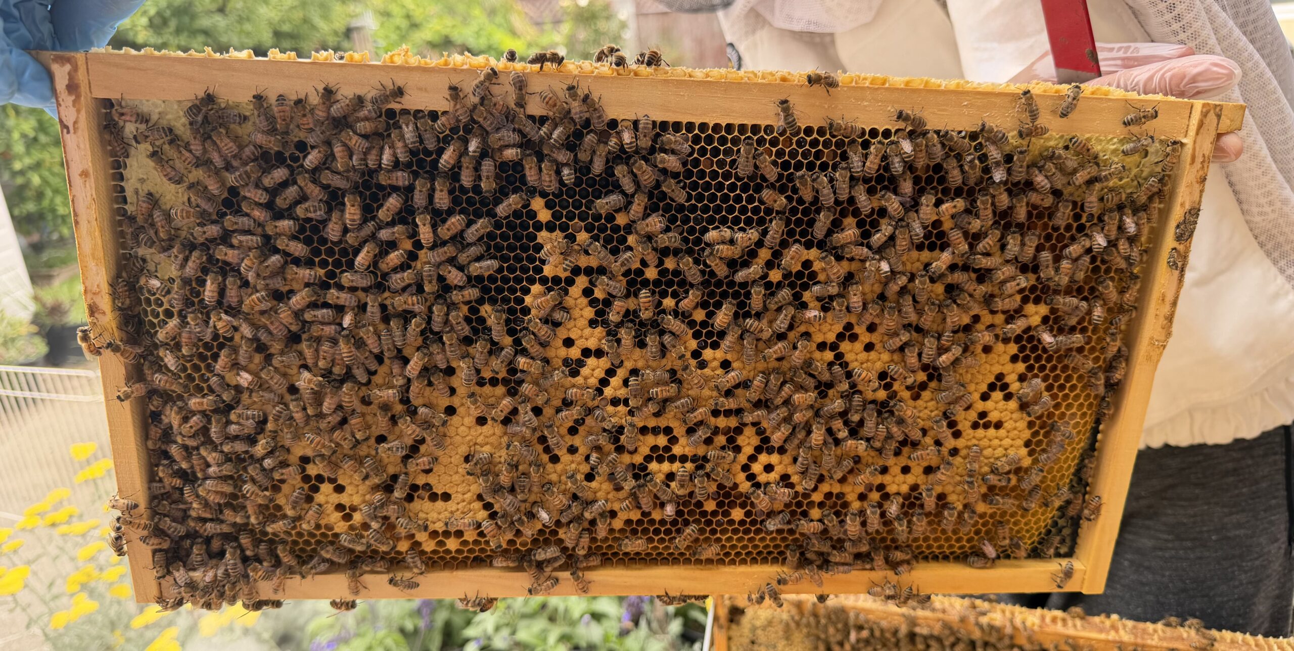 Frame 6 side B