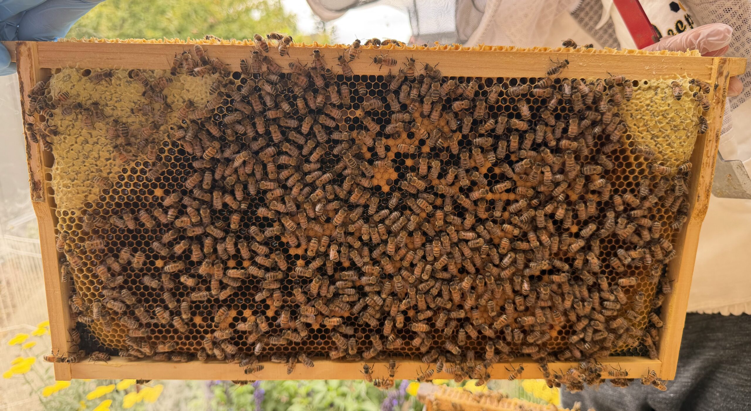 Frame 7 side B