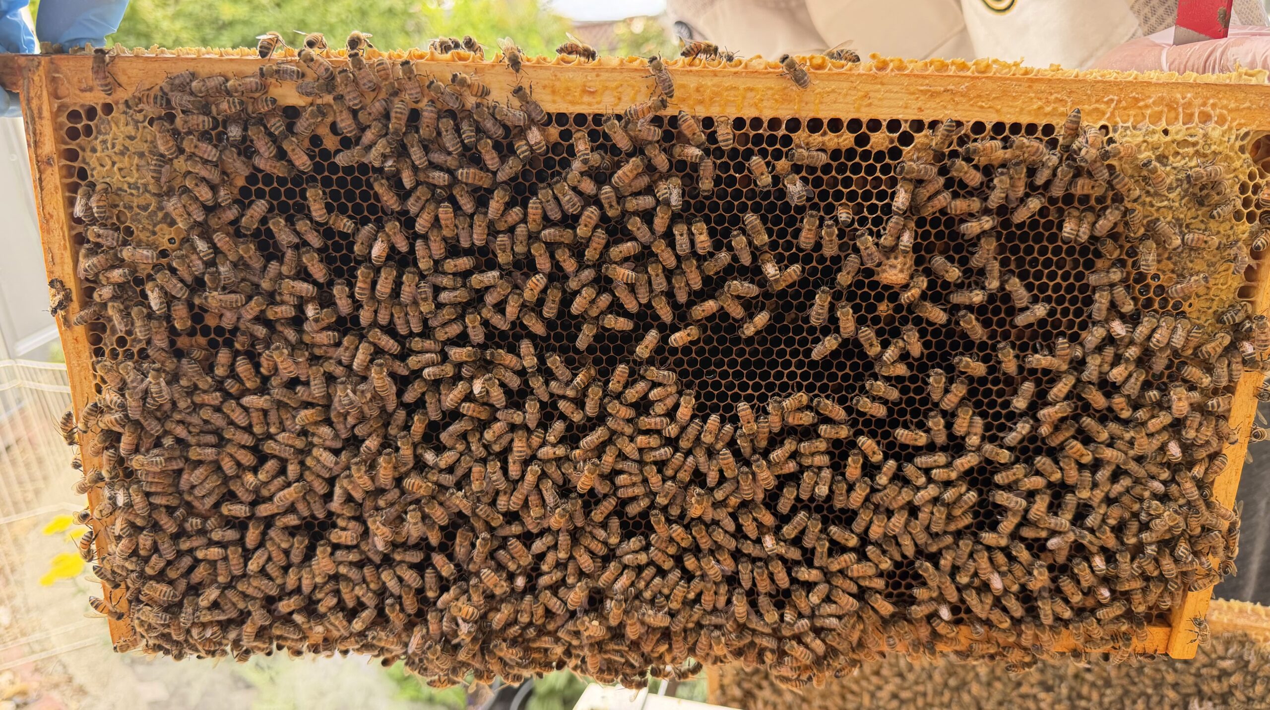 Frame 8 side B