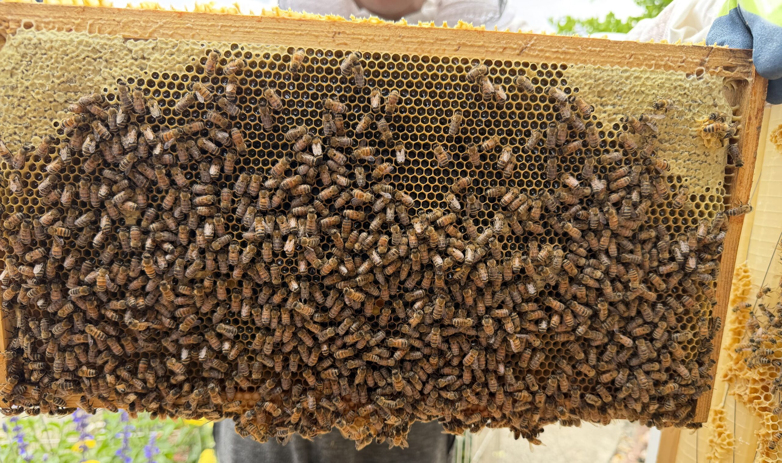 Frame 4 side A