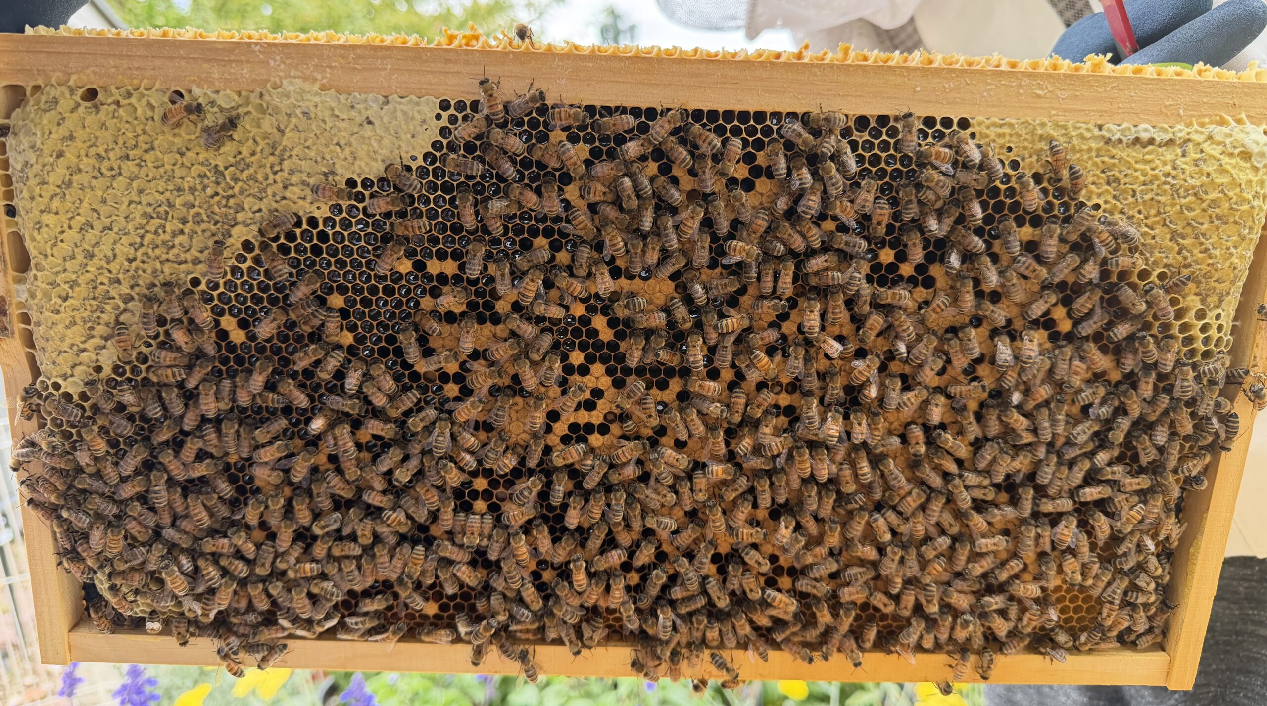 Frame 7 side B
