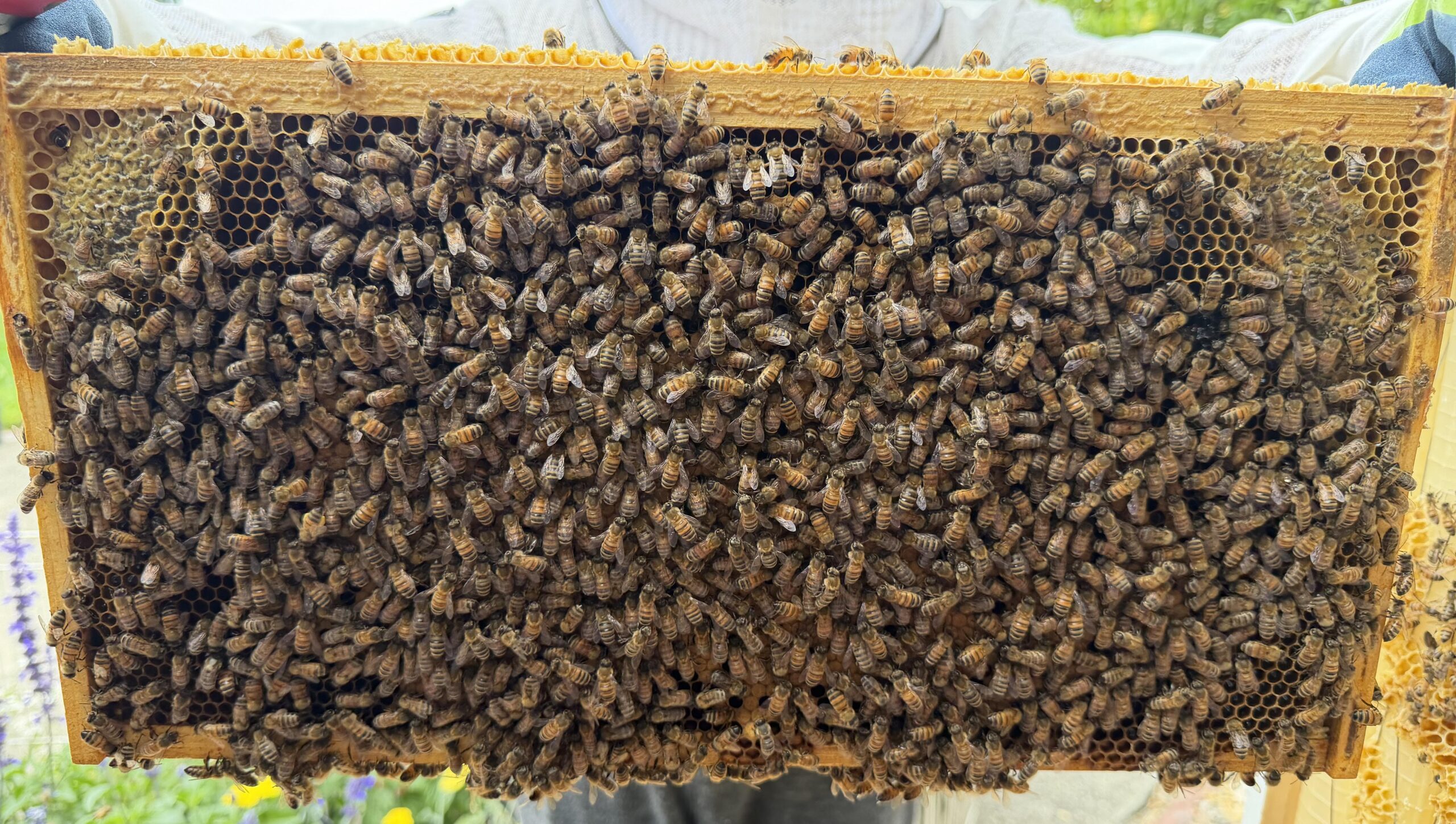 Frame 8 side A