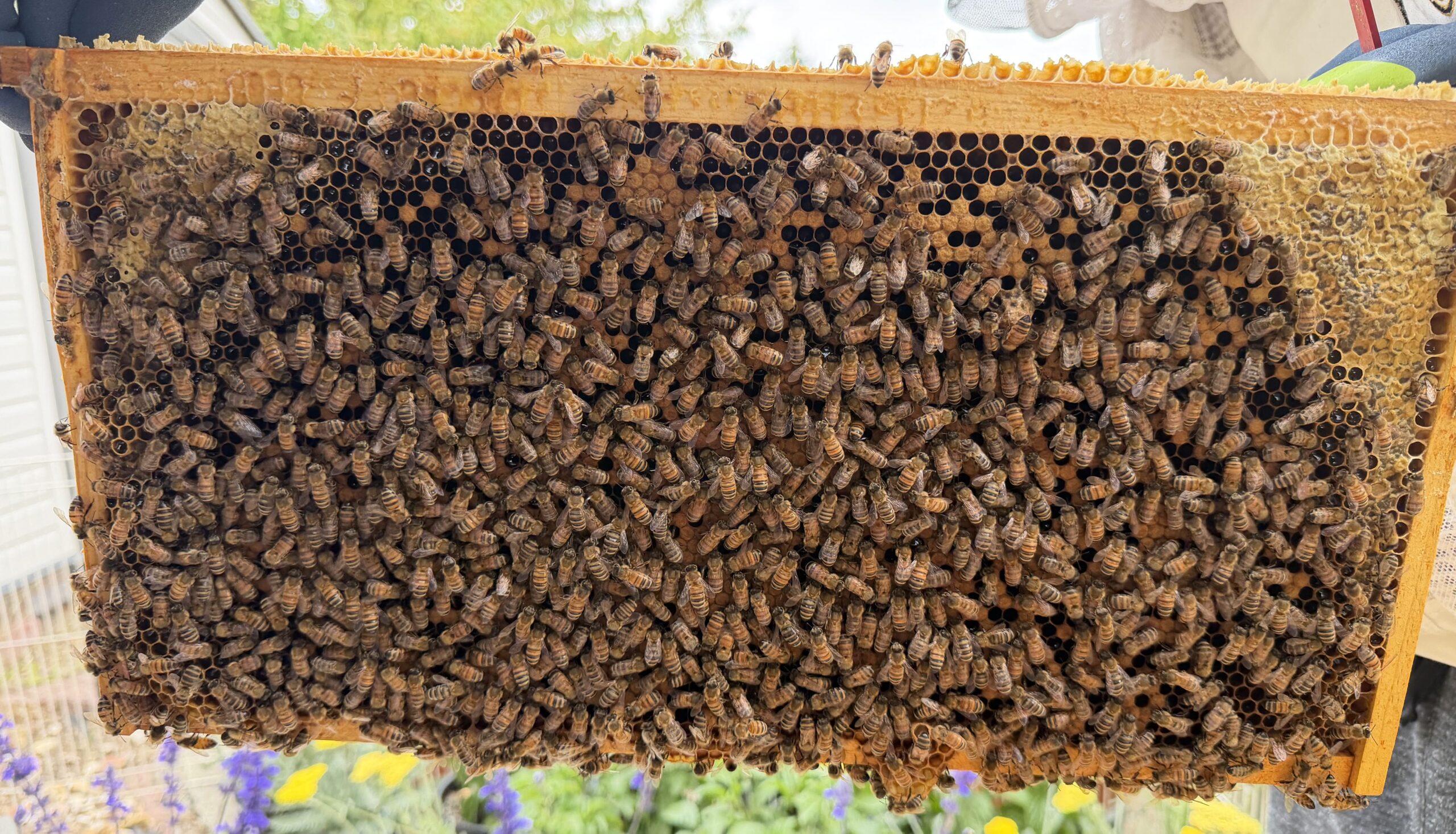 Frame 8 side B