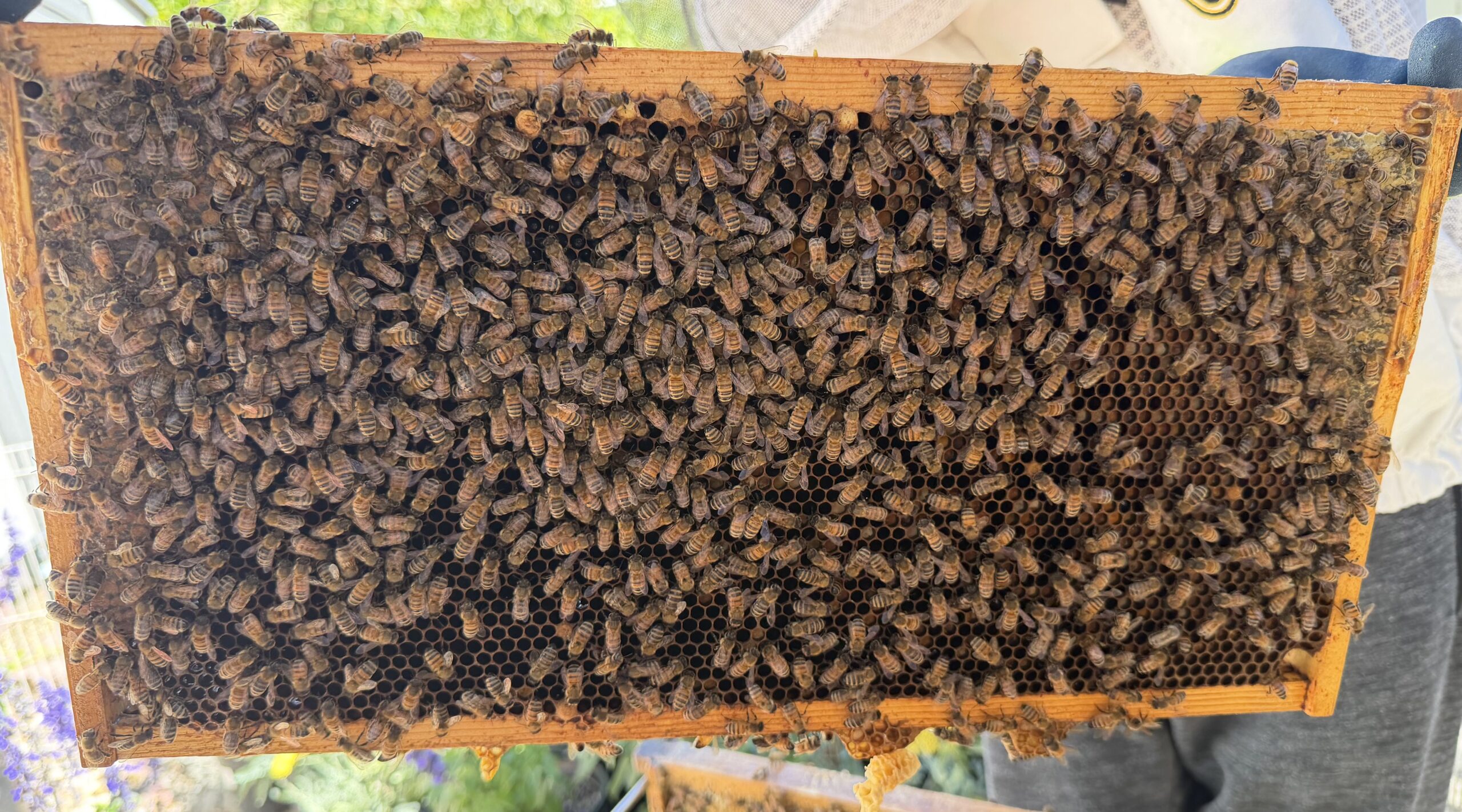 Frame 2 side B