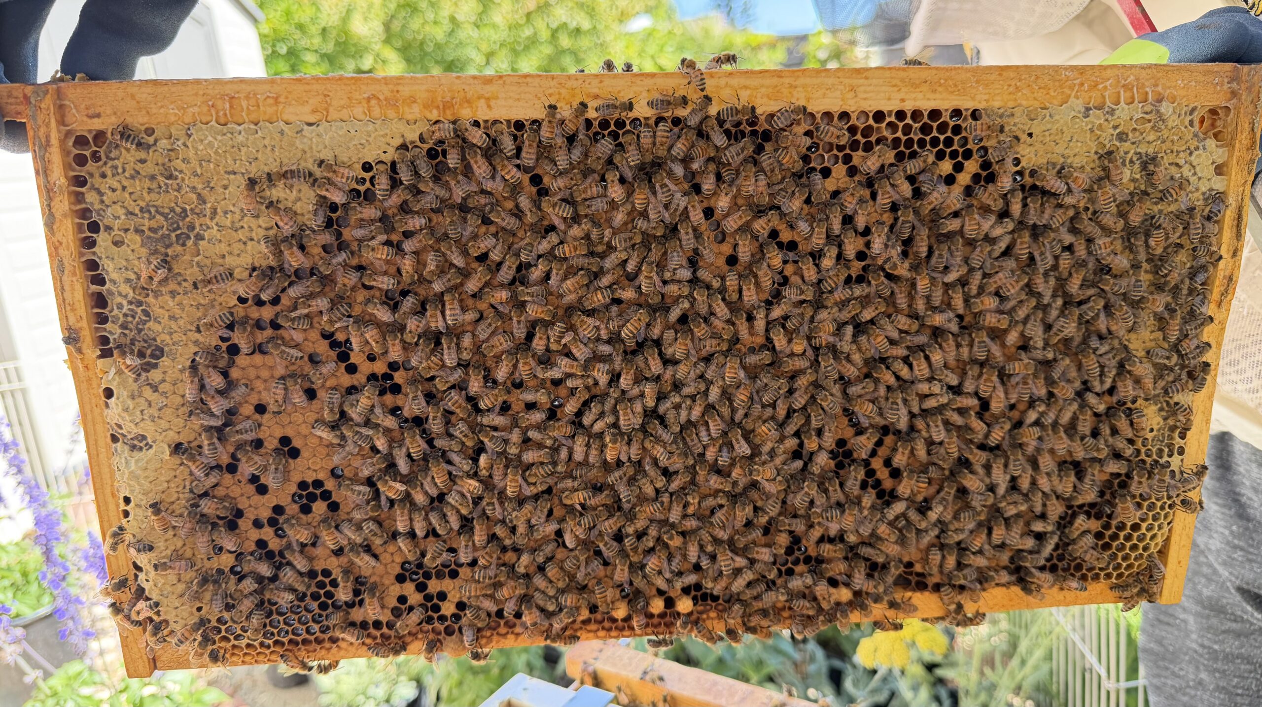 Frame 8 side B