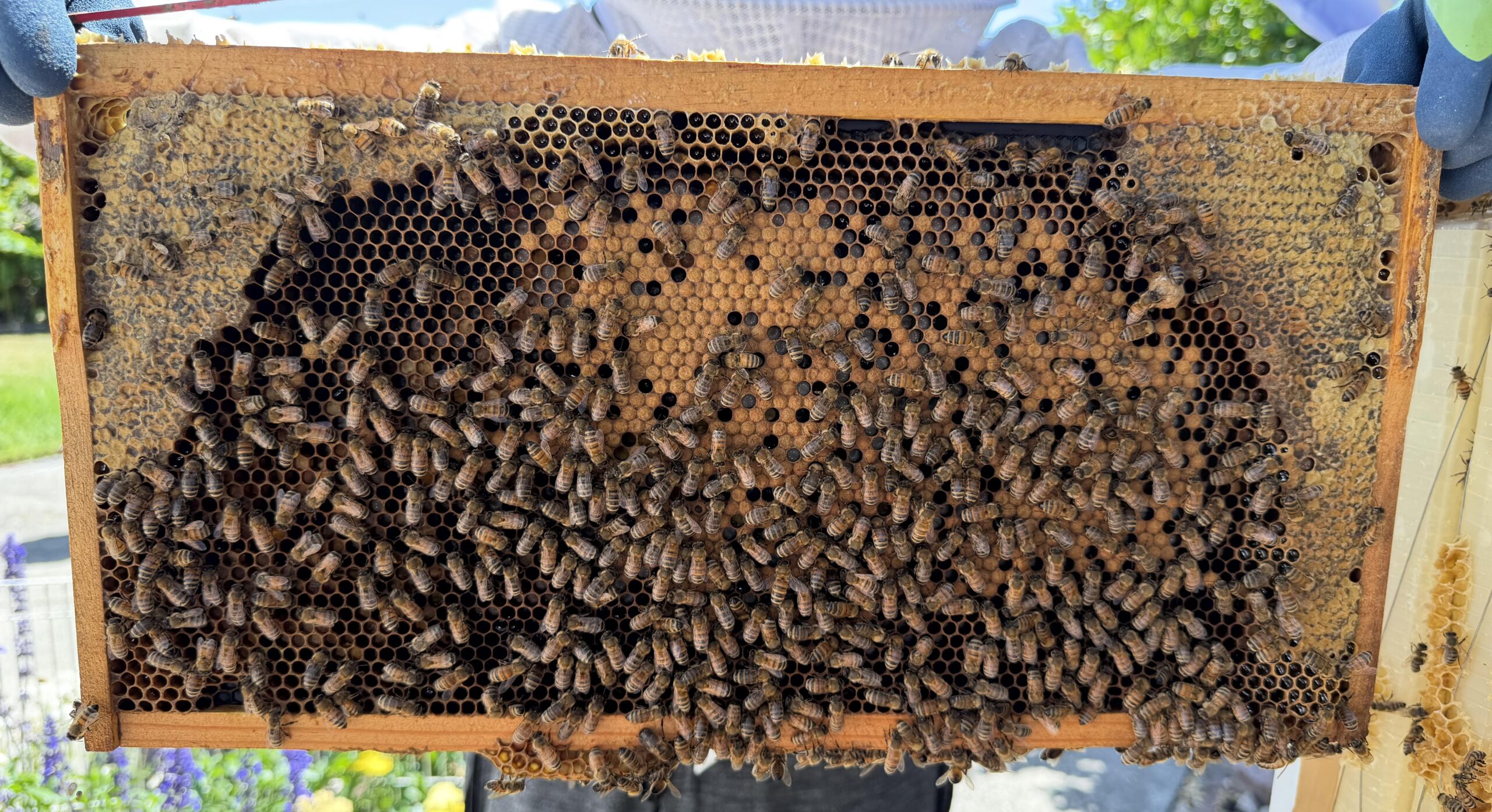Frame 1 side A
