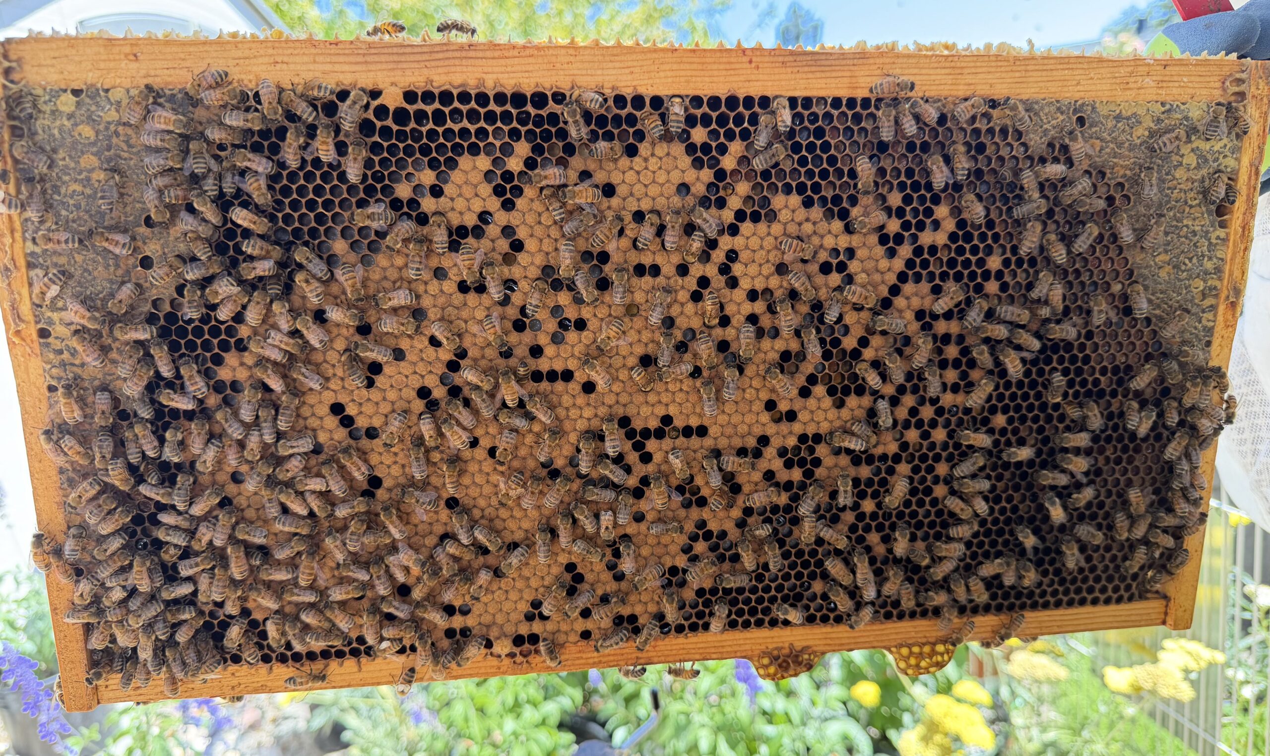 Frame 2 side B