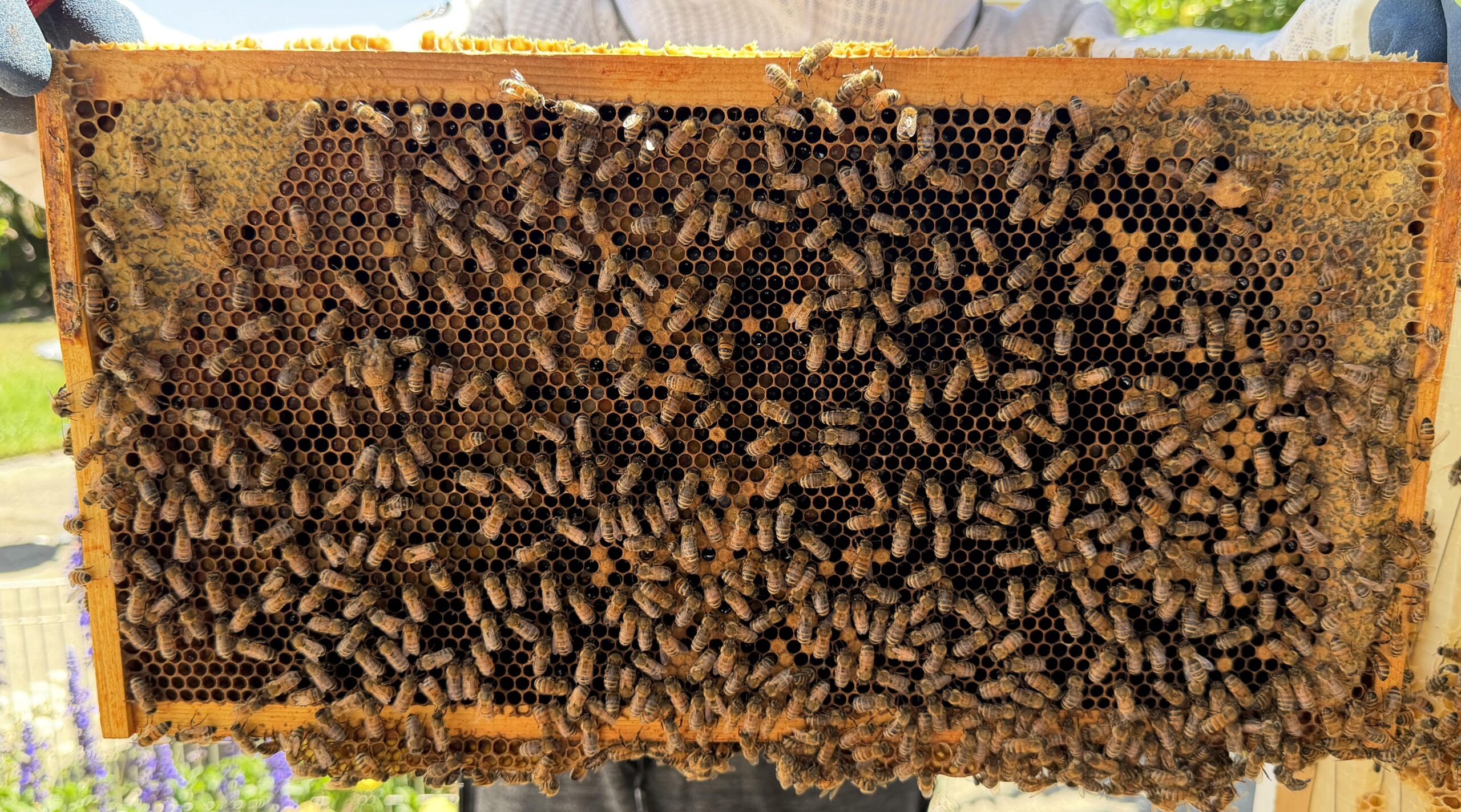 Frame 3 side A