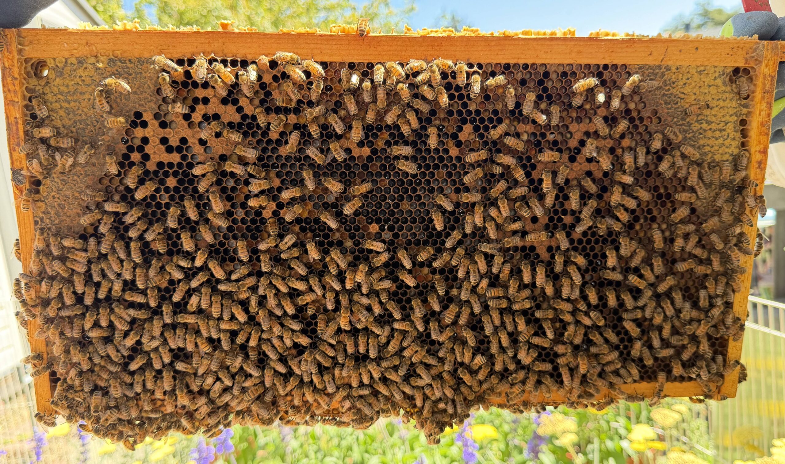 Frame 3 side B