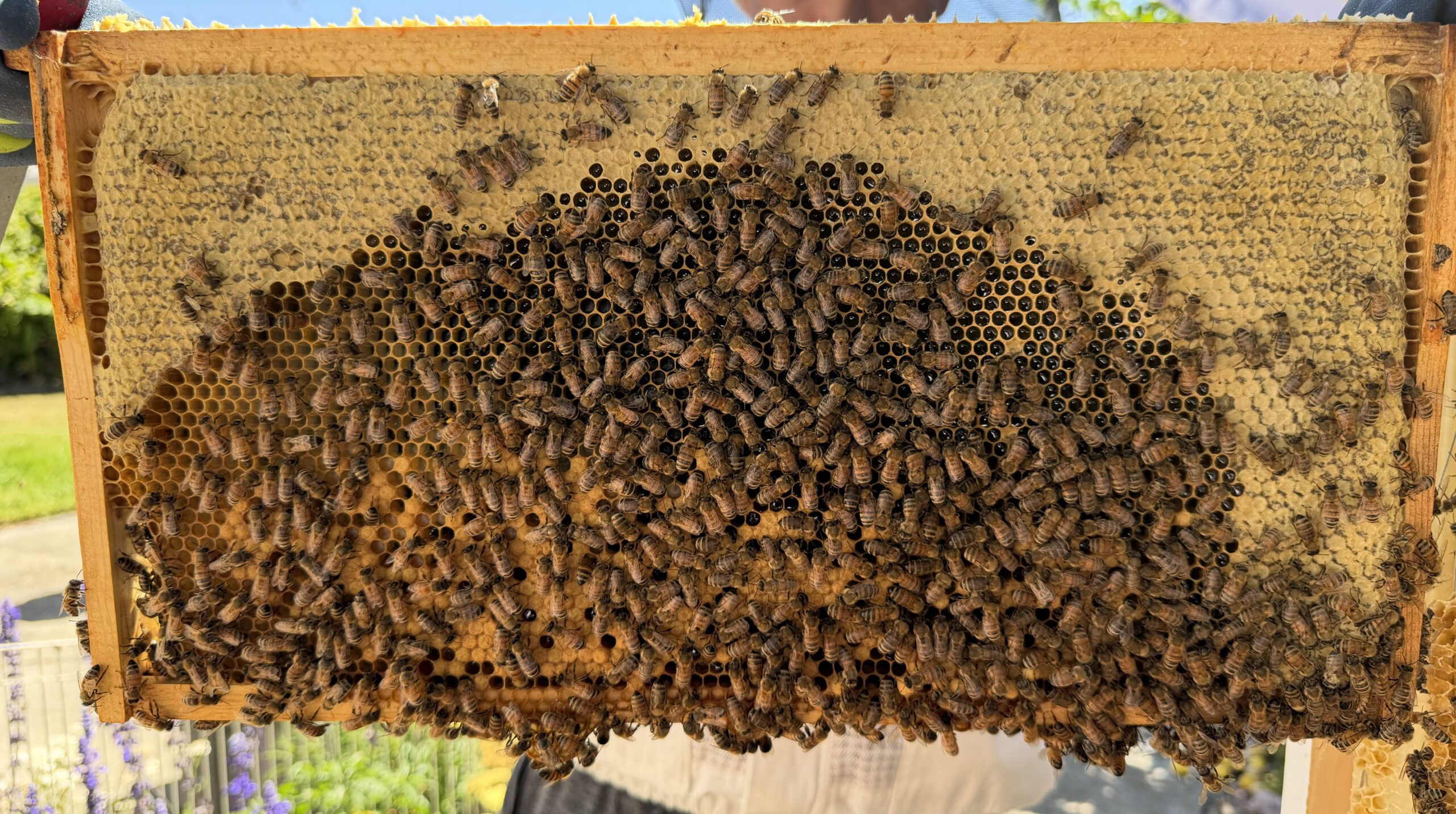 Frame 4 side A