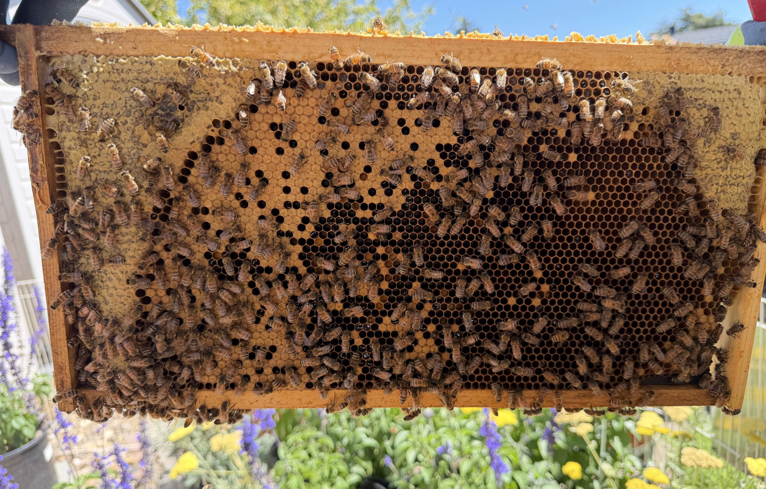 Frame 4 side B