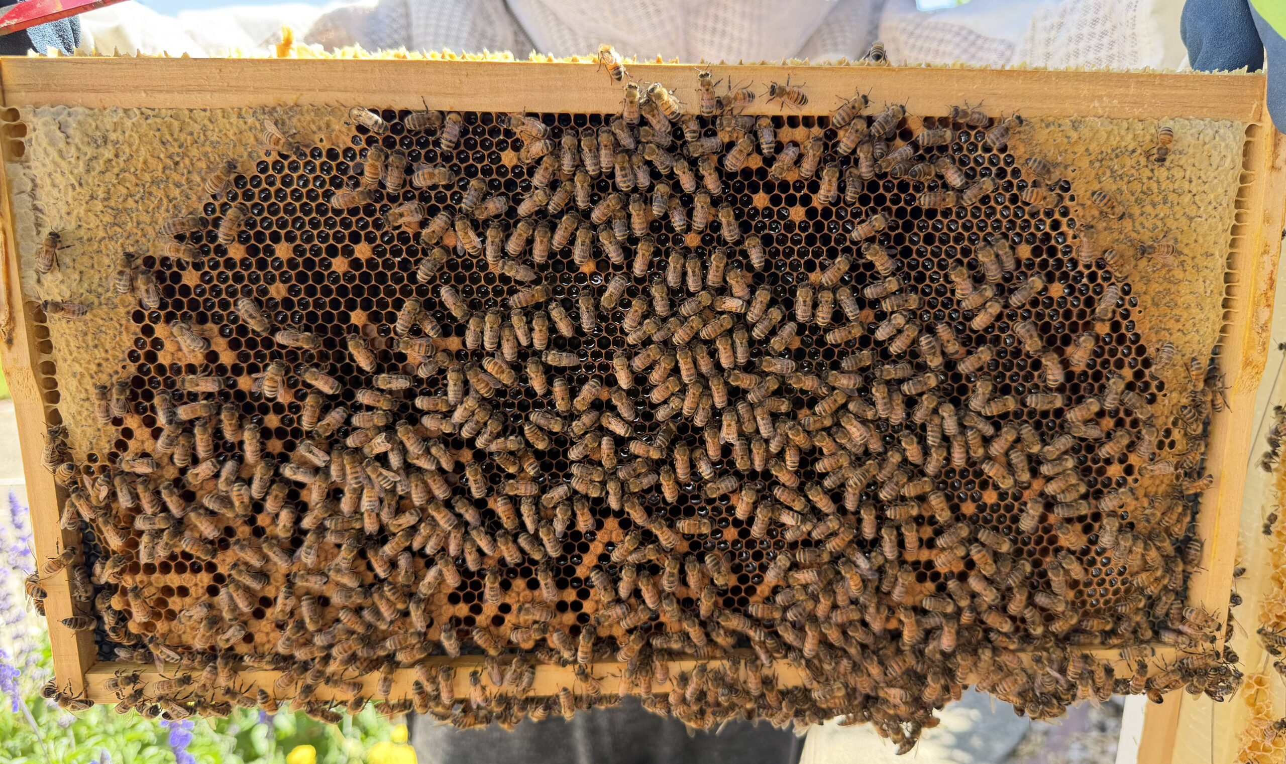 Frame 7 side A
