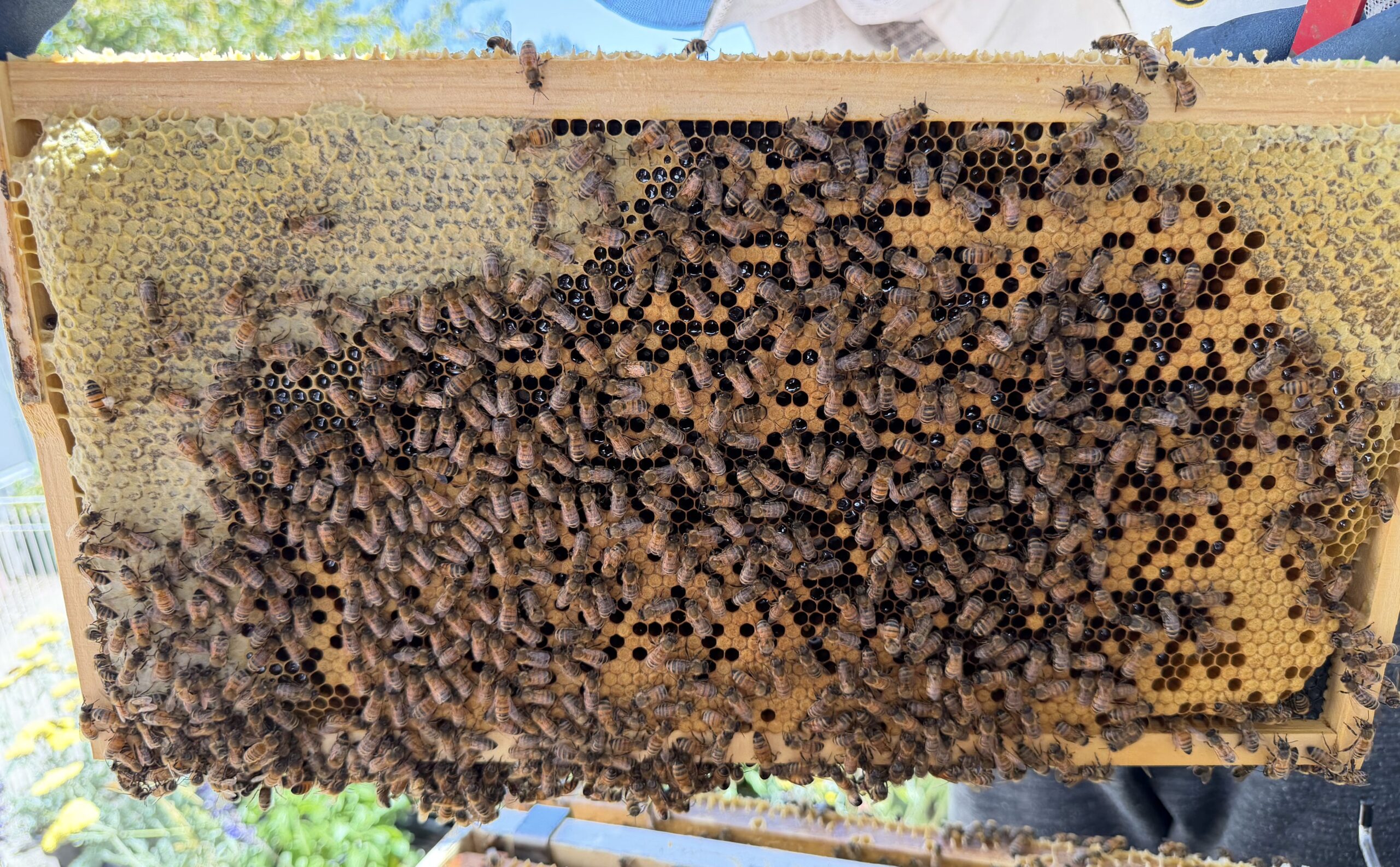 Frame 7 side B
