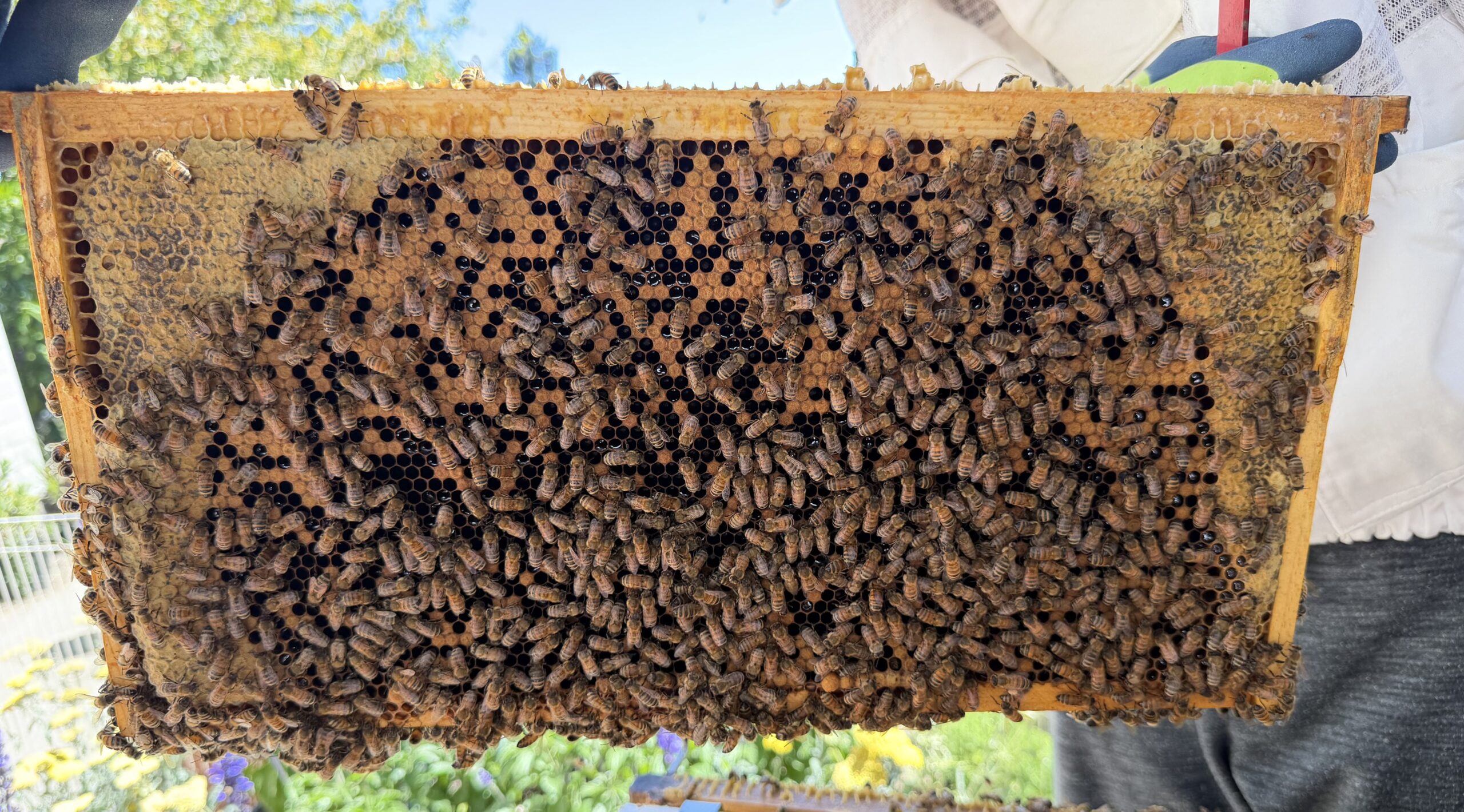 Frame 8 side B