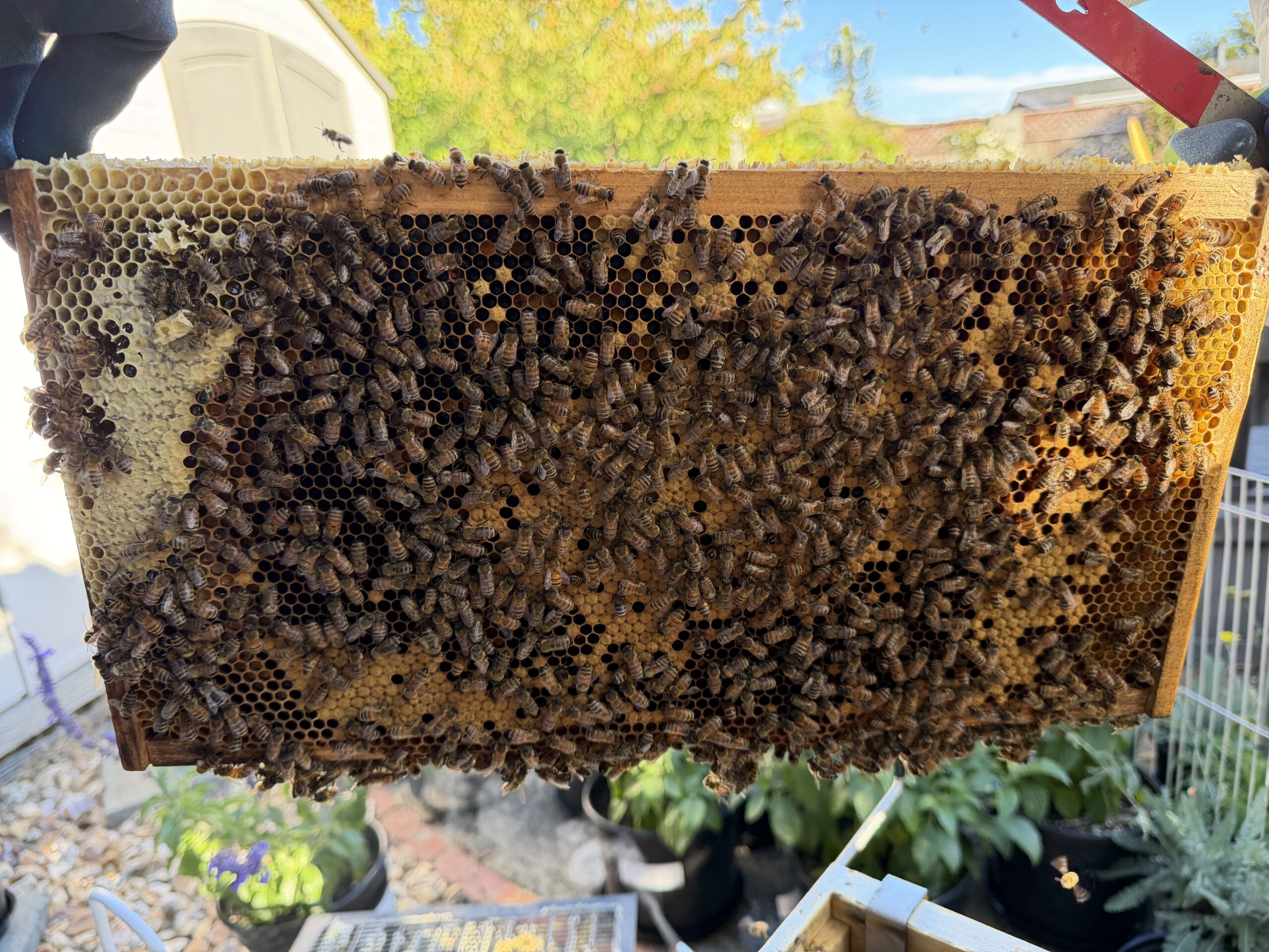 Frame 1 side B