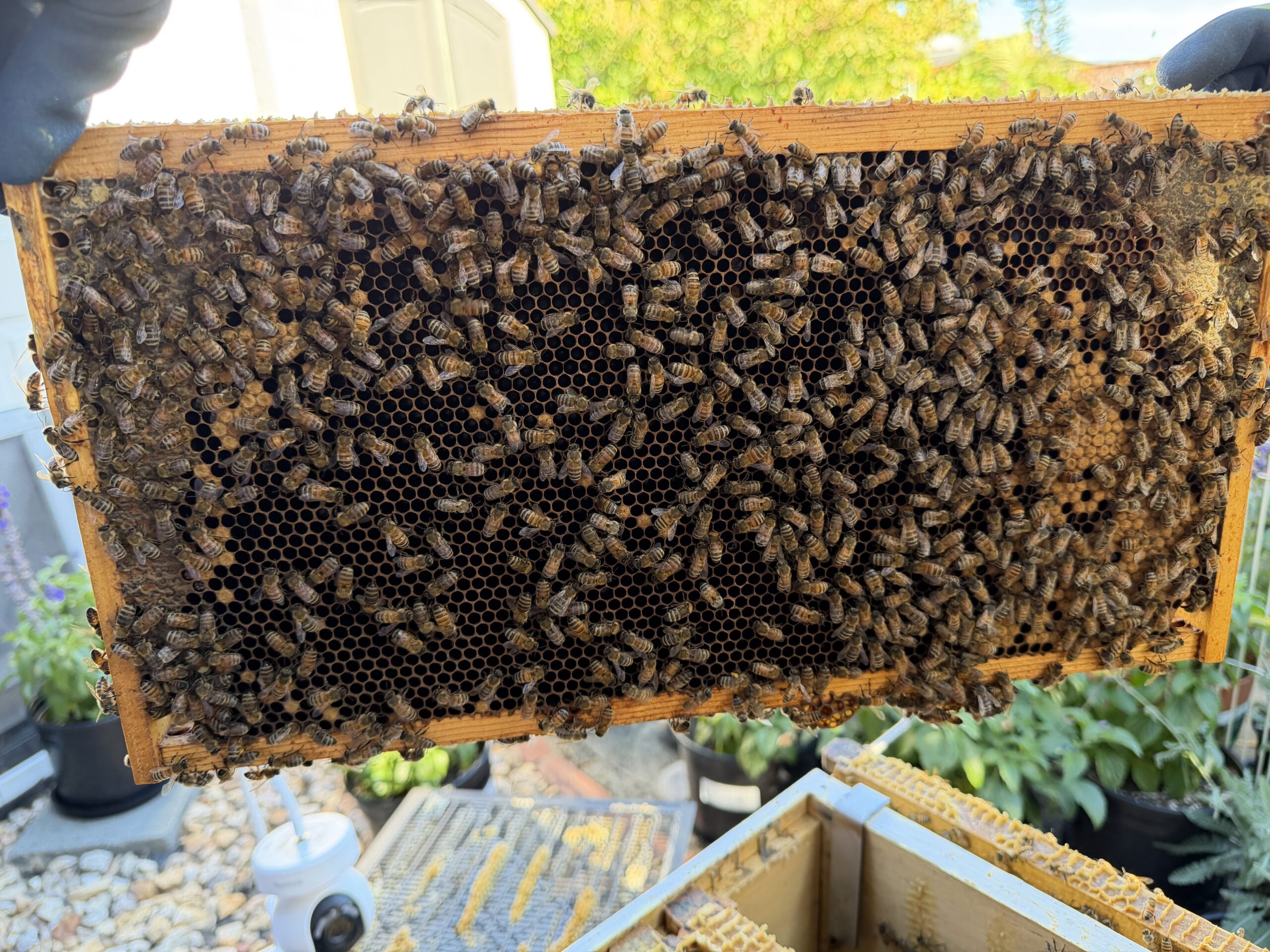 Frame 2 side B