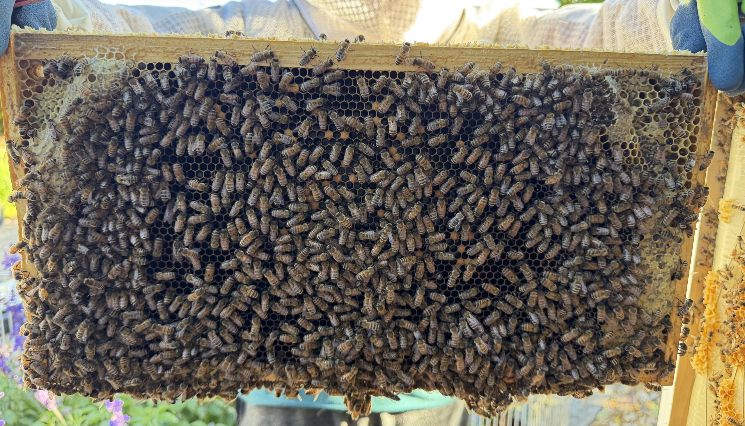 Frame 8 side A