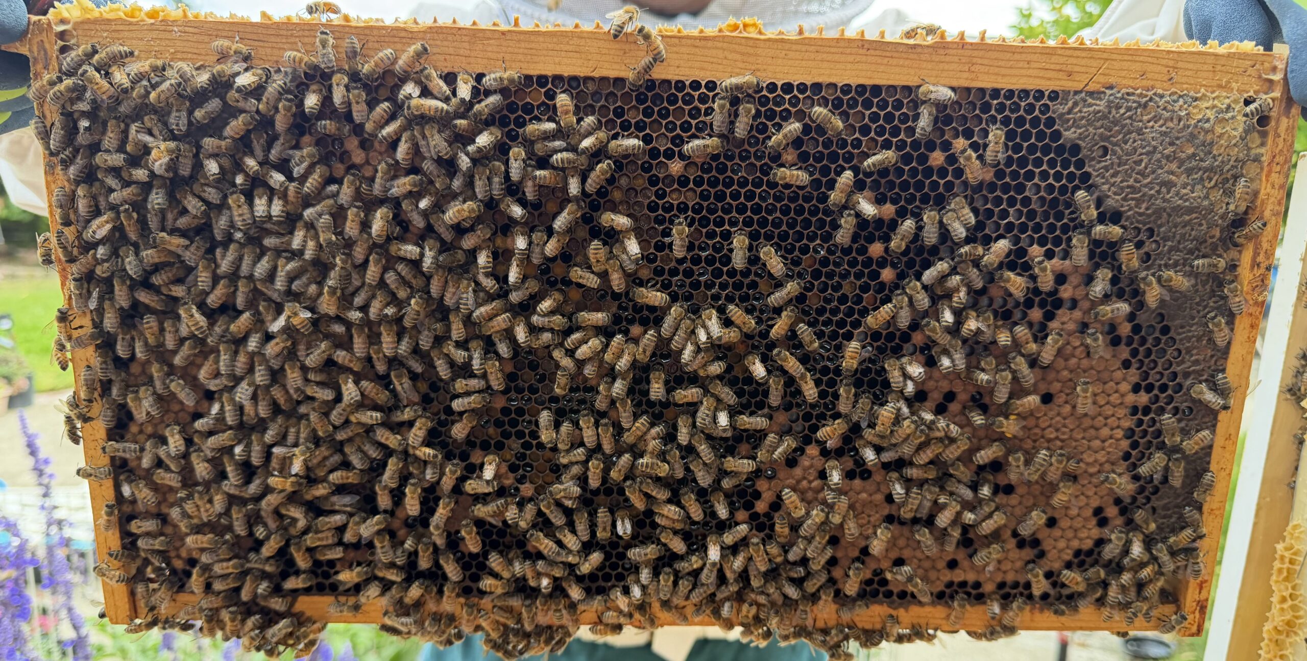 Frame 2 side A