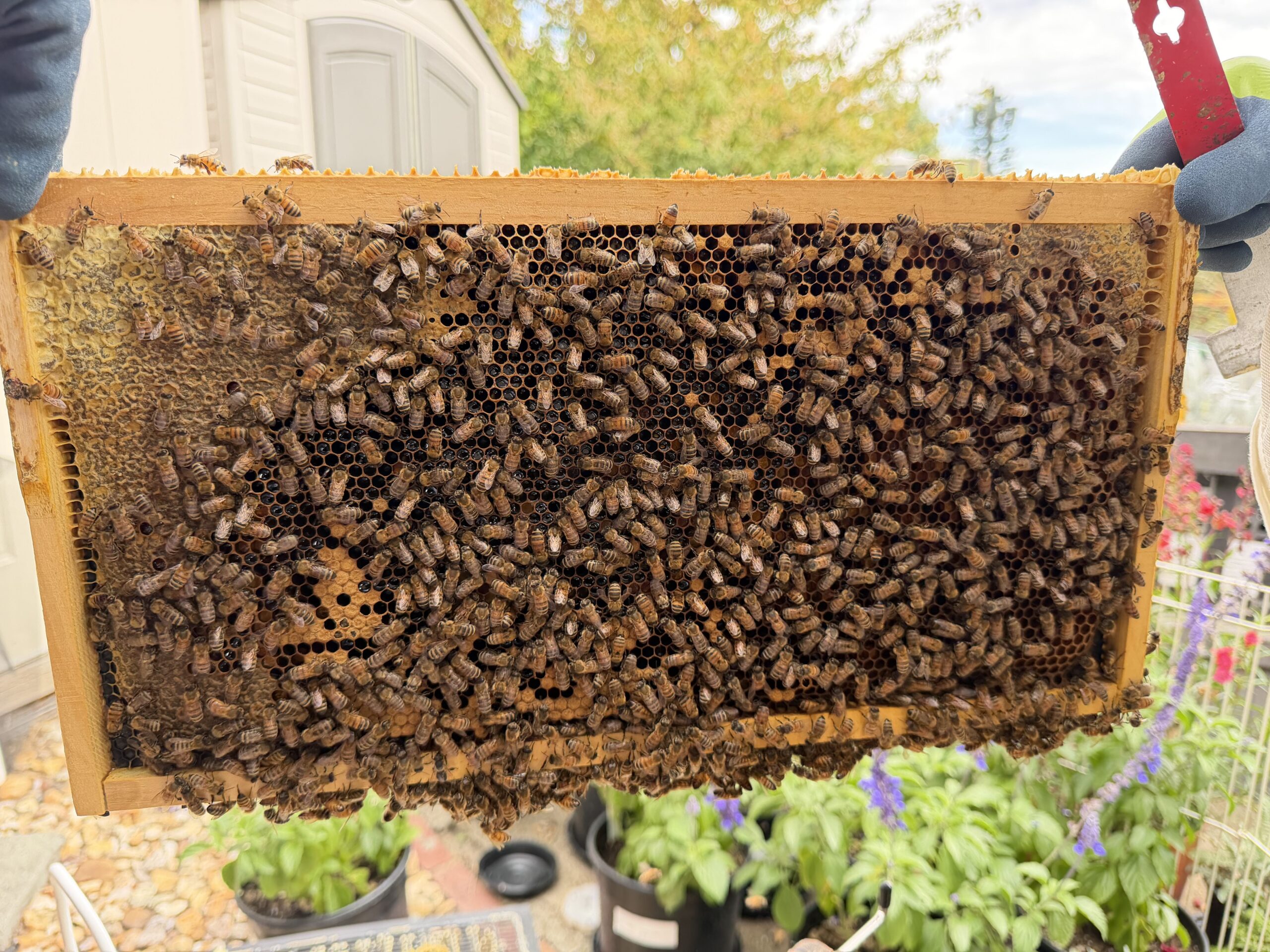 Frame 5 side B
