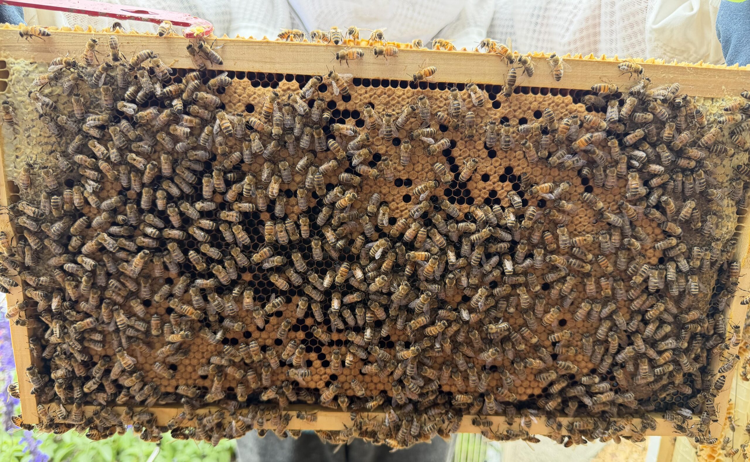 Frame 7 side A