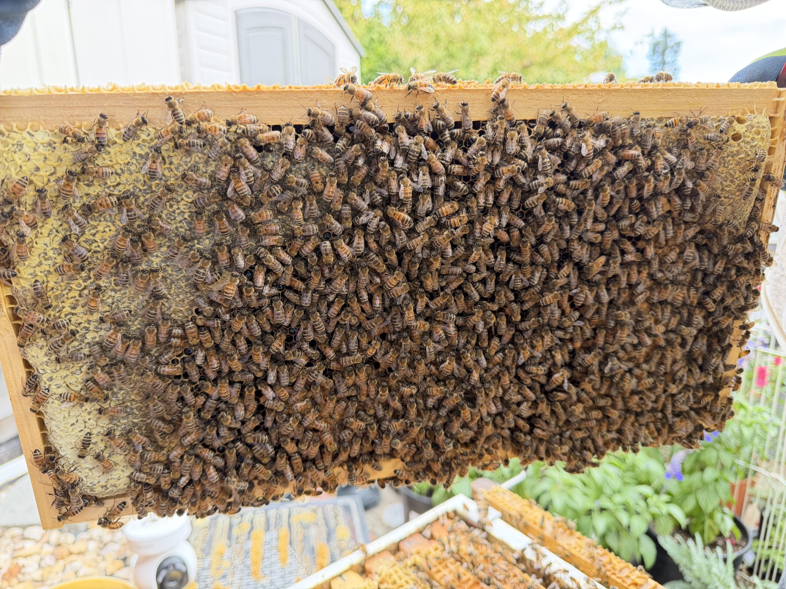 Frame 7 side B