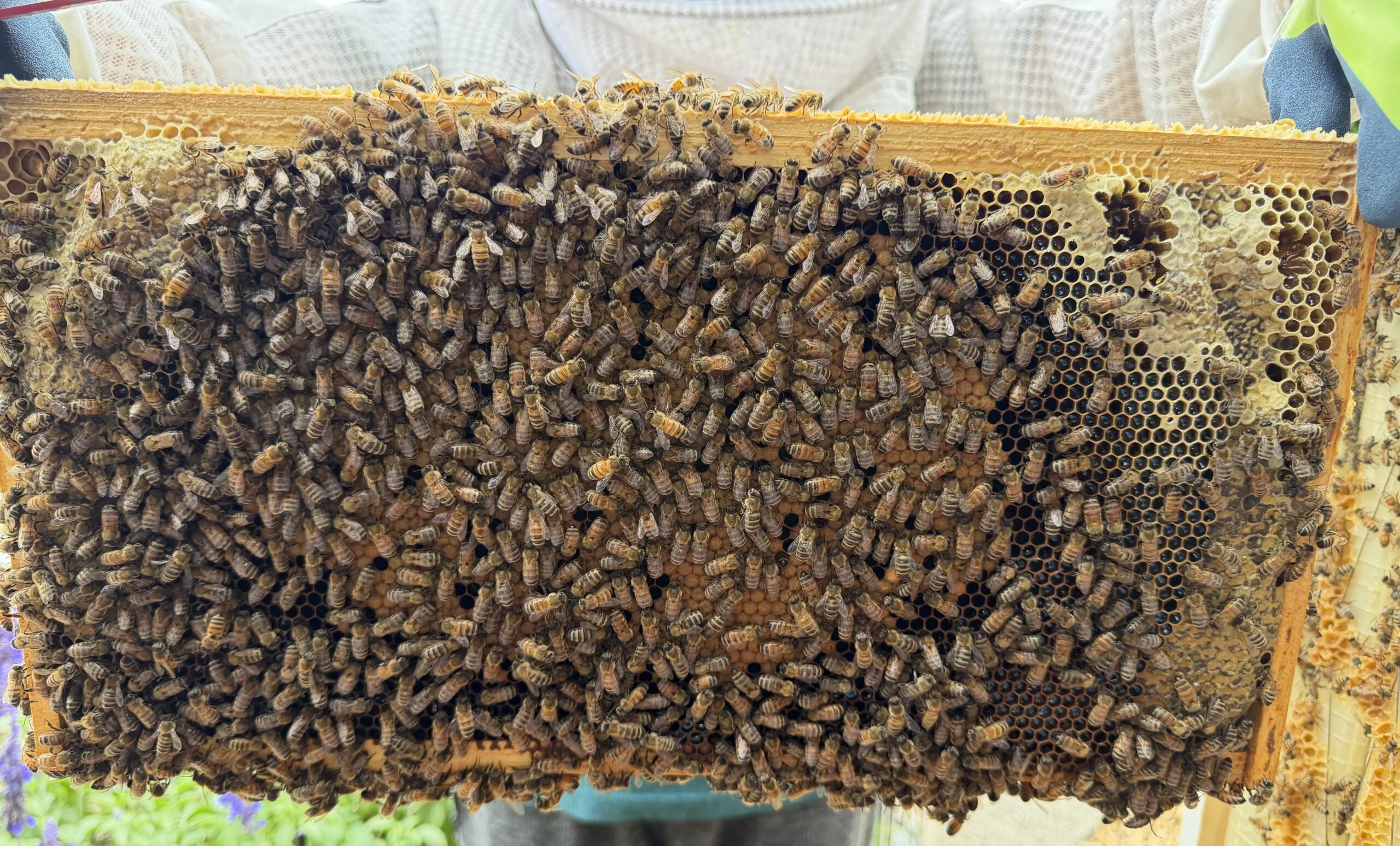 Frame 8 side A