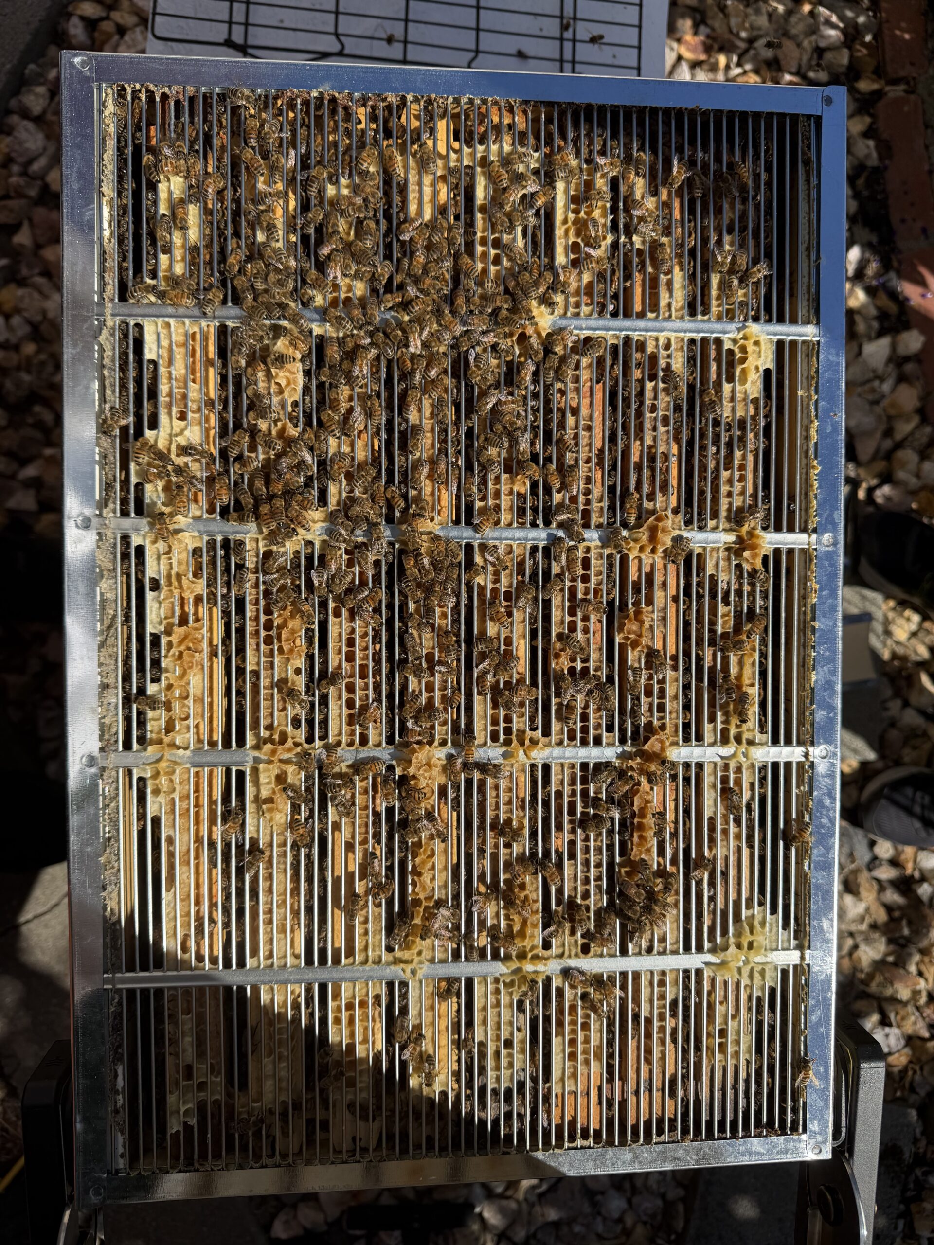 Brood box