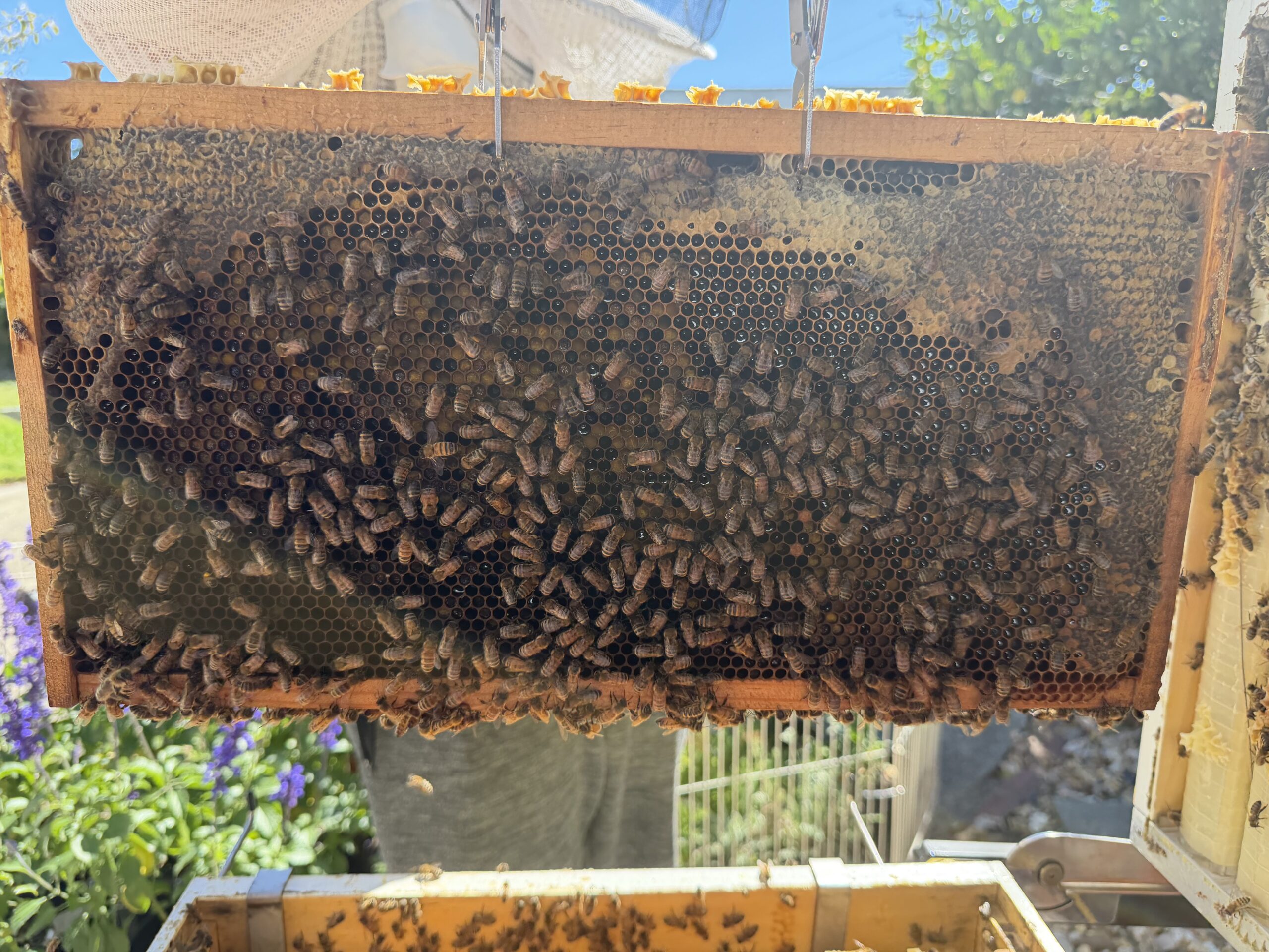 Frame 1 side A