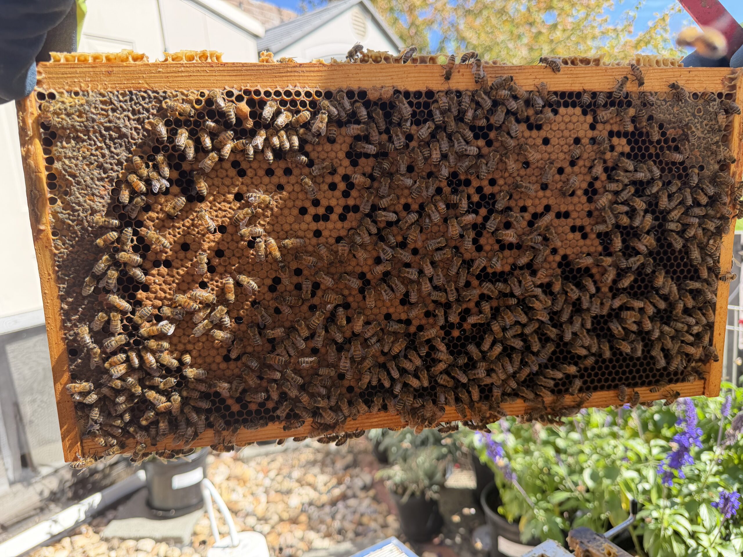 Frame 2 side B