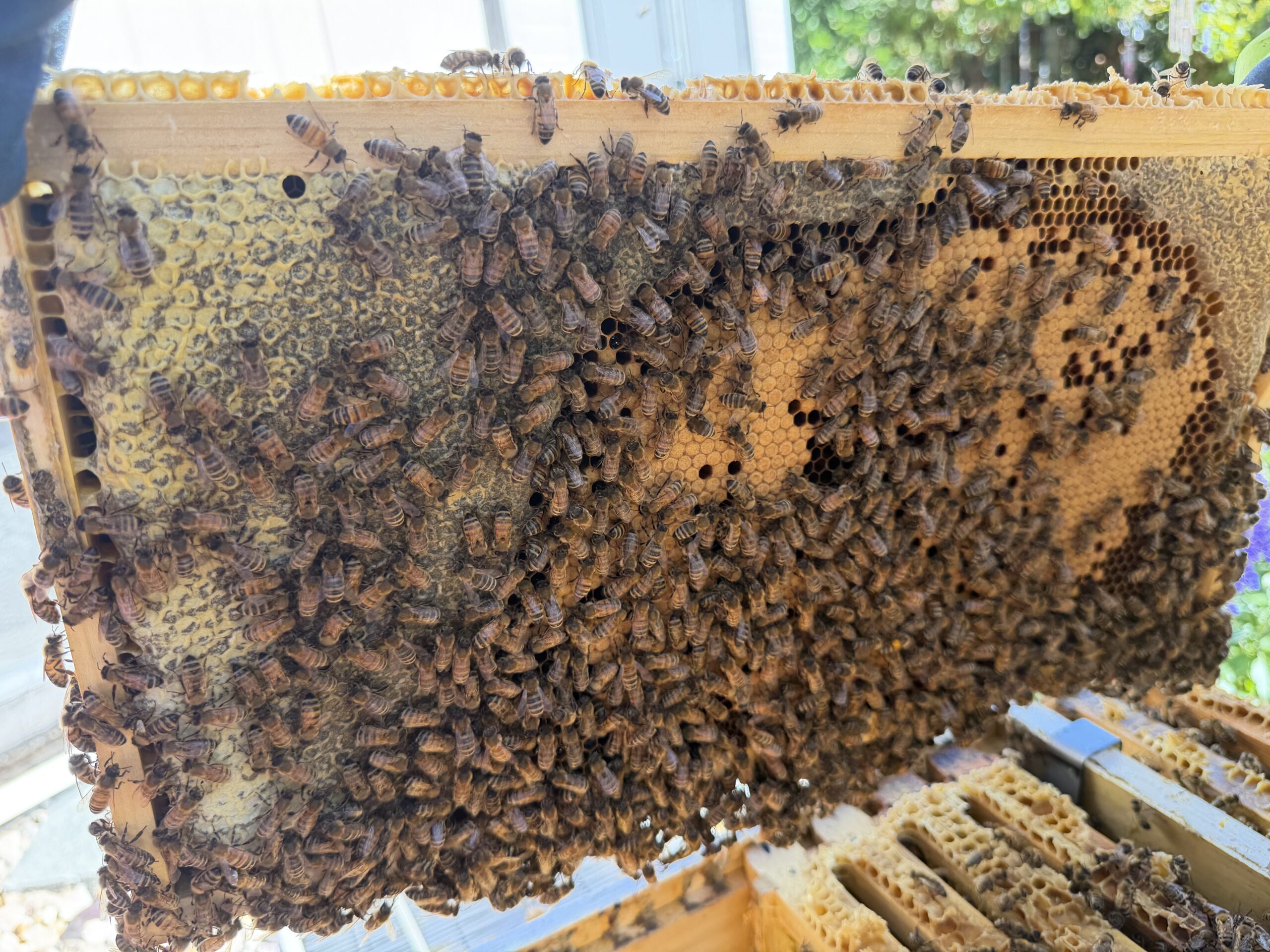 Frame 7 side B
