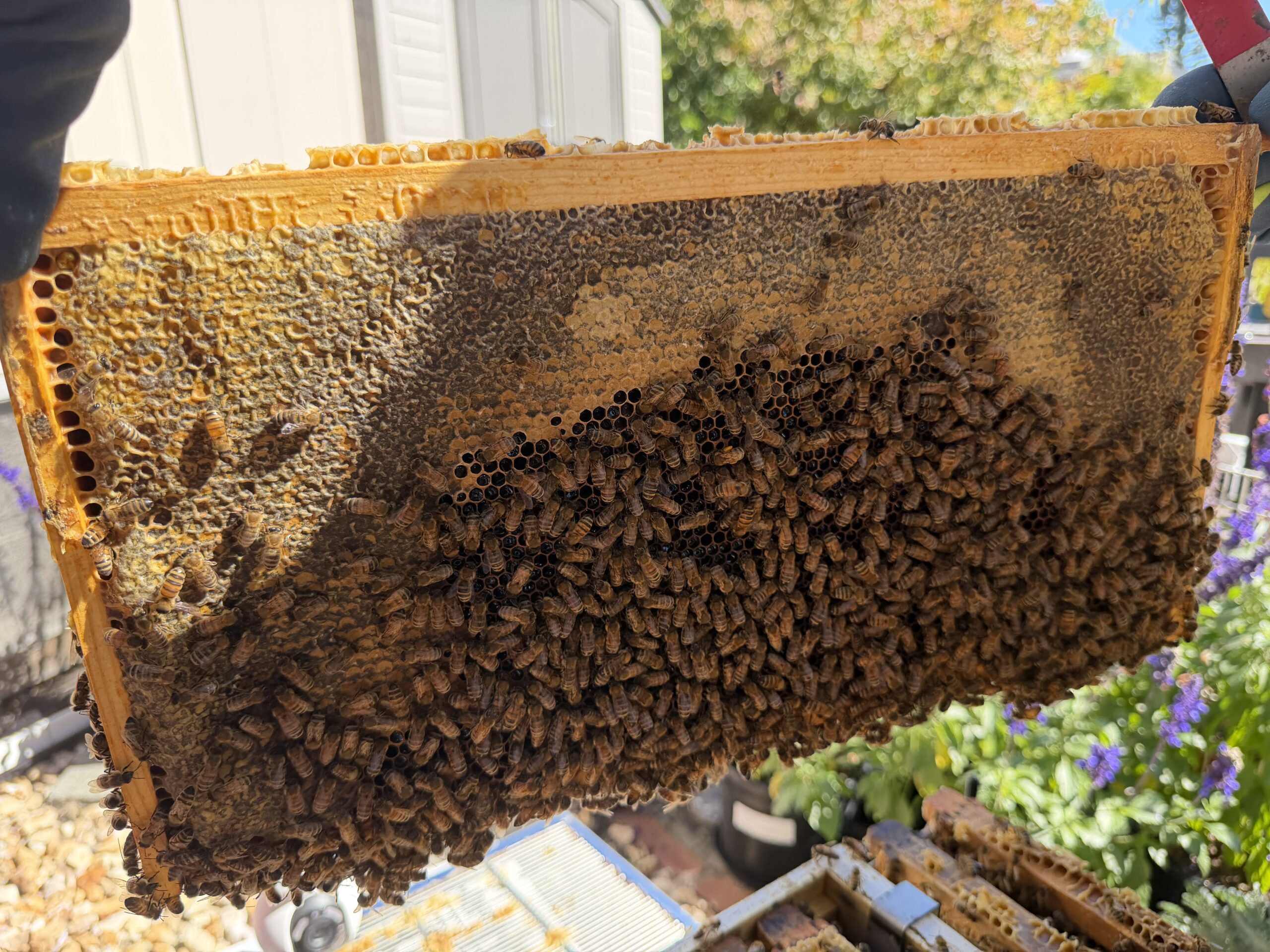 Frame 8 side B