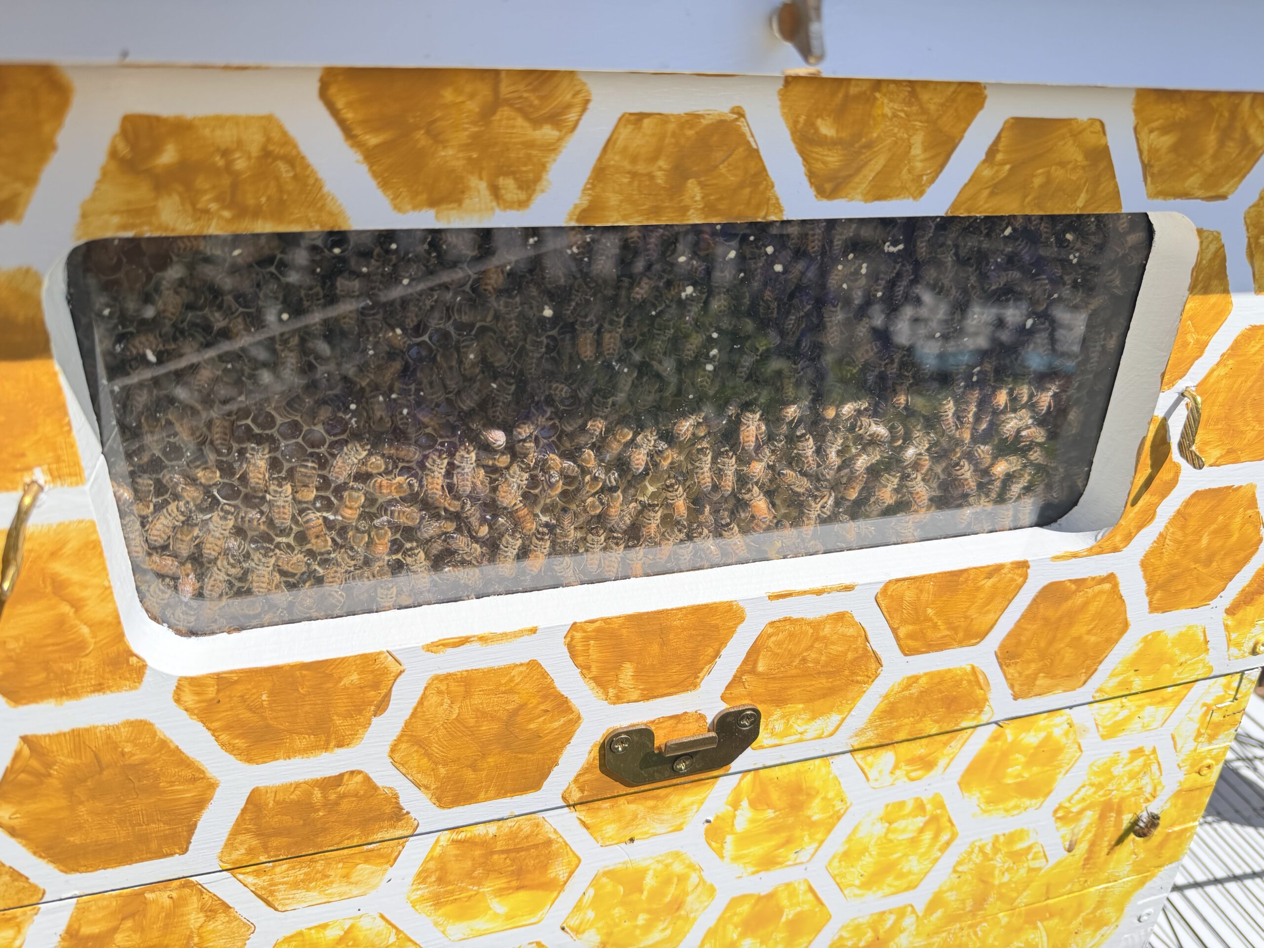 Flow super window honey